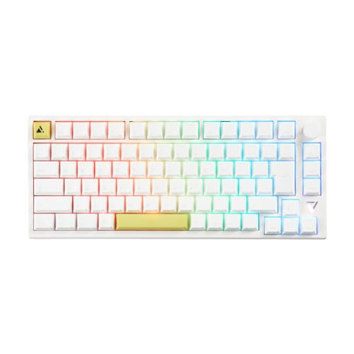Princeton ULTRA PLUS Gasket Mount Gaming Mechanical Keyboard Japanese Layout
