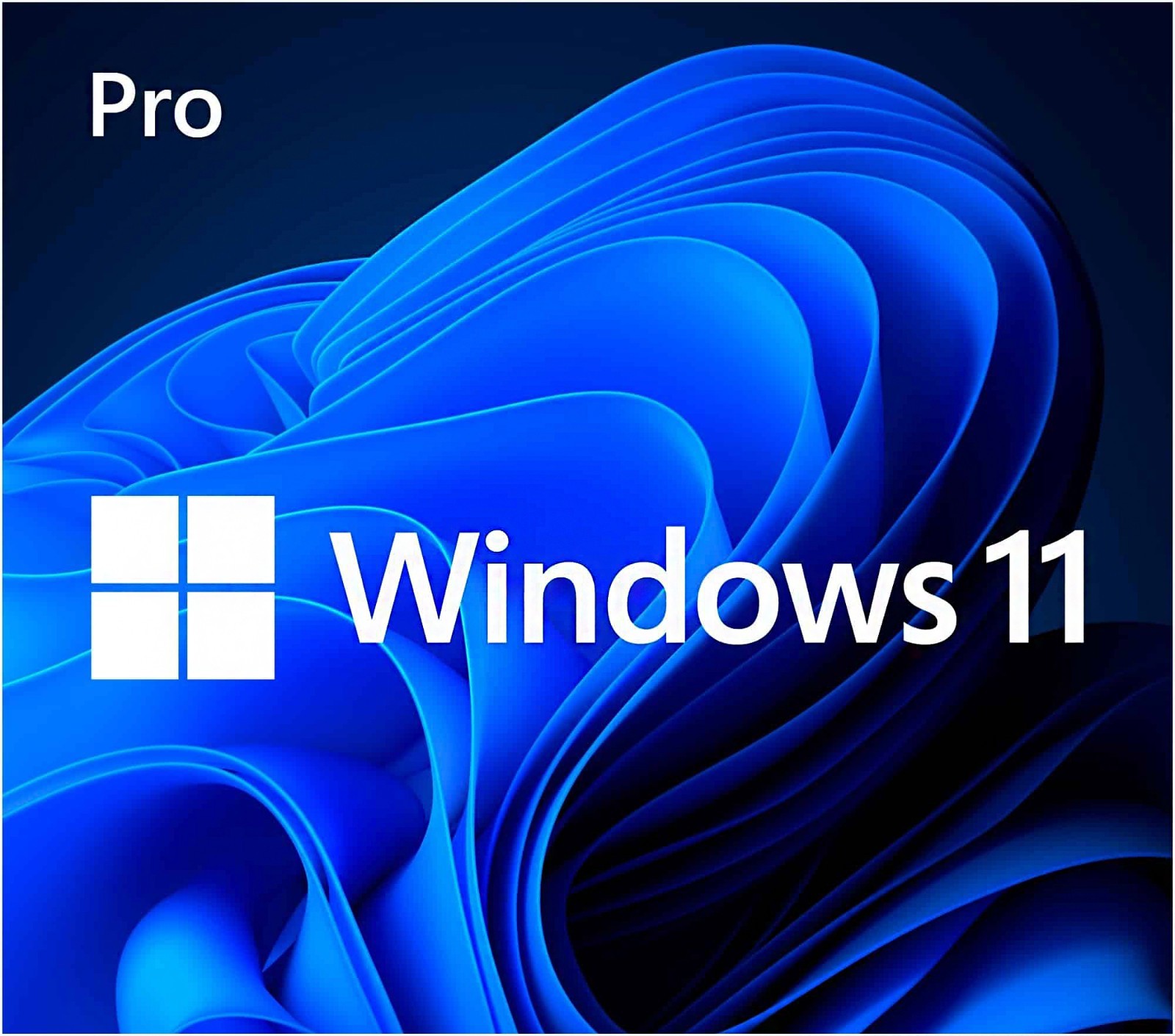 Microsoft Windows 11 Pro 64-Bit USB Flash Drive with Product Key
