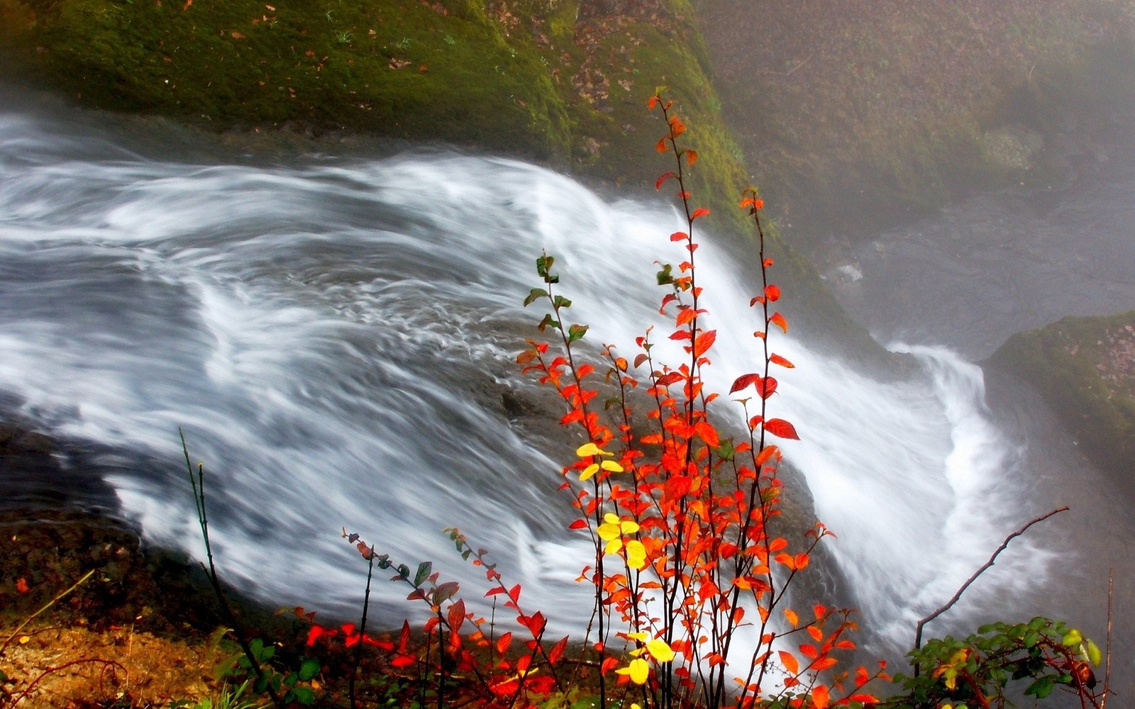Landscape waterfall red leaves fall moss Custom Gaming Mat Desk