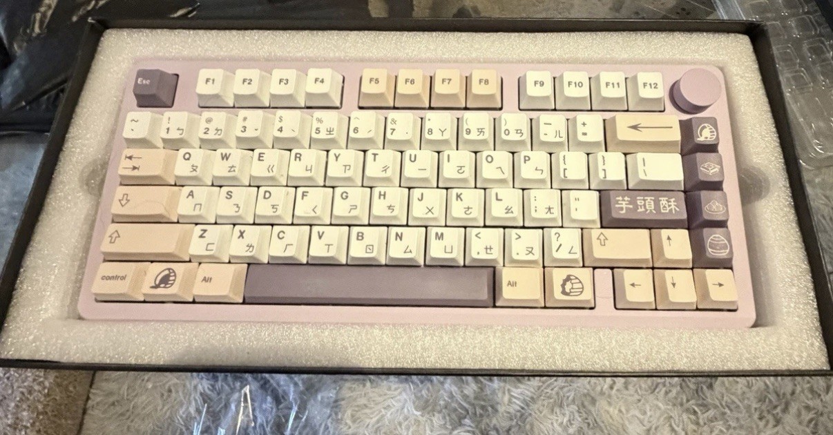 LEOBOG Hi8 Modular DIY Mechanical Keyboard with Drop+invyr HOLY PANDA switches