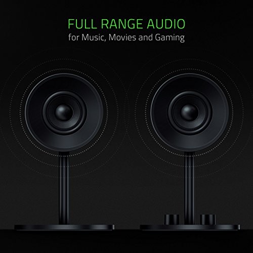 RAZER CUSTOM WOVEN FIBERGLASS 3" DRIVERS - REAR-FACING BASS PORTS - BASS -