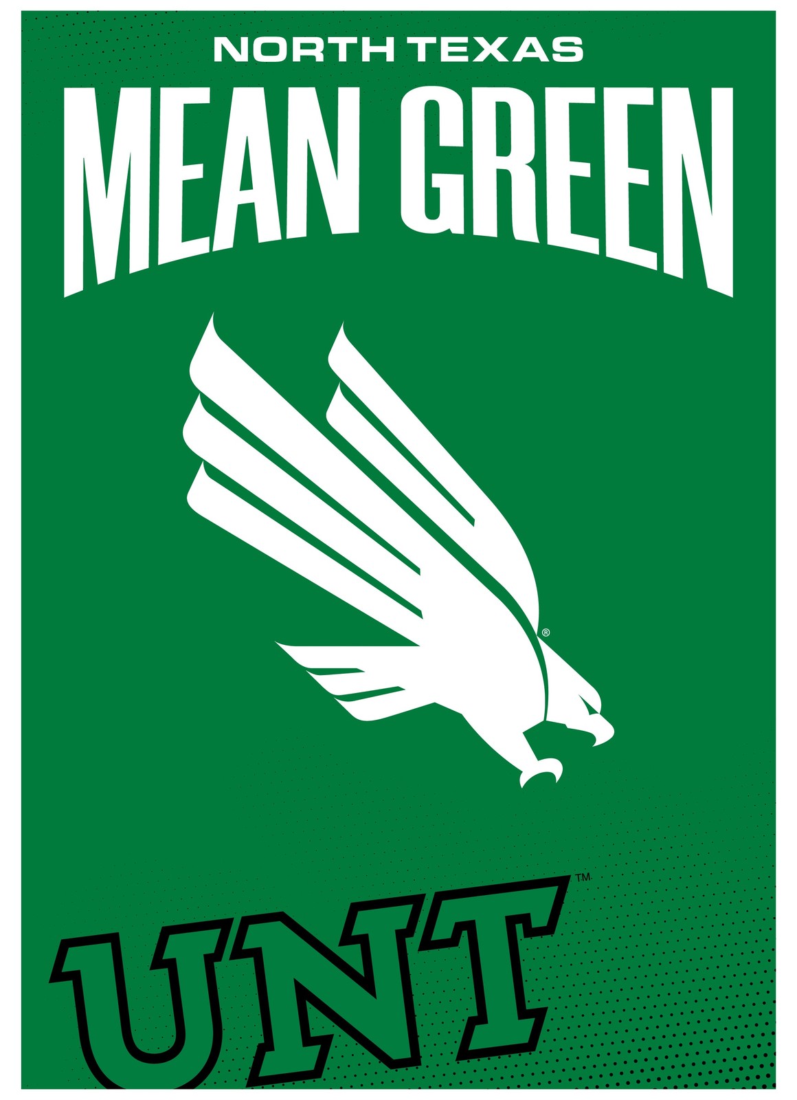 North Texas Vintage Collegiate Poster – Offic. Lic. Wall Art