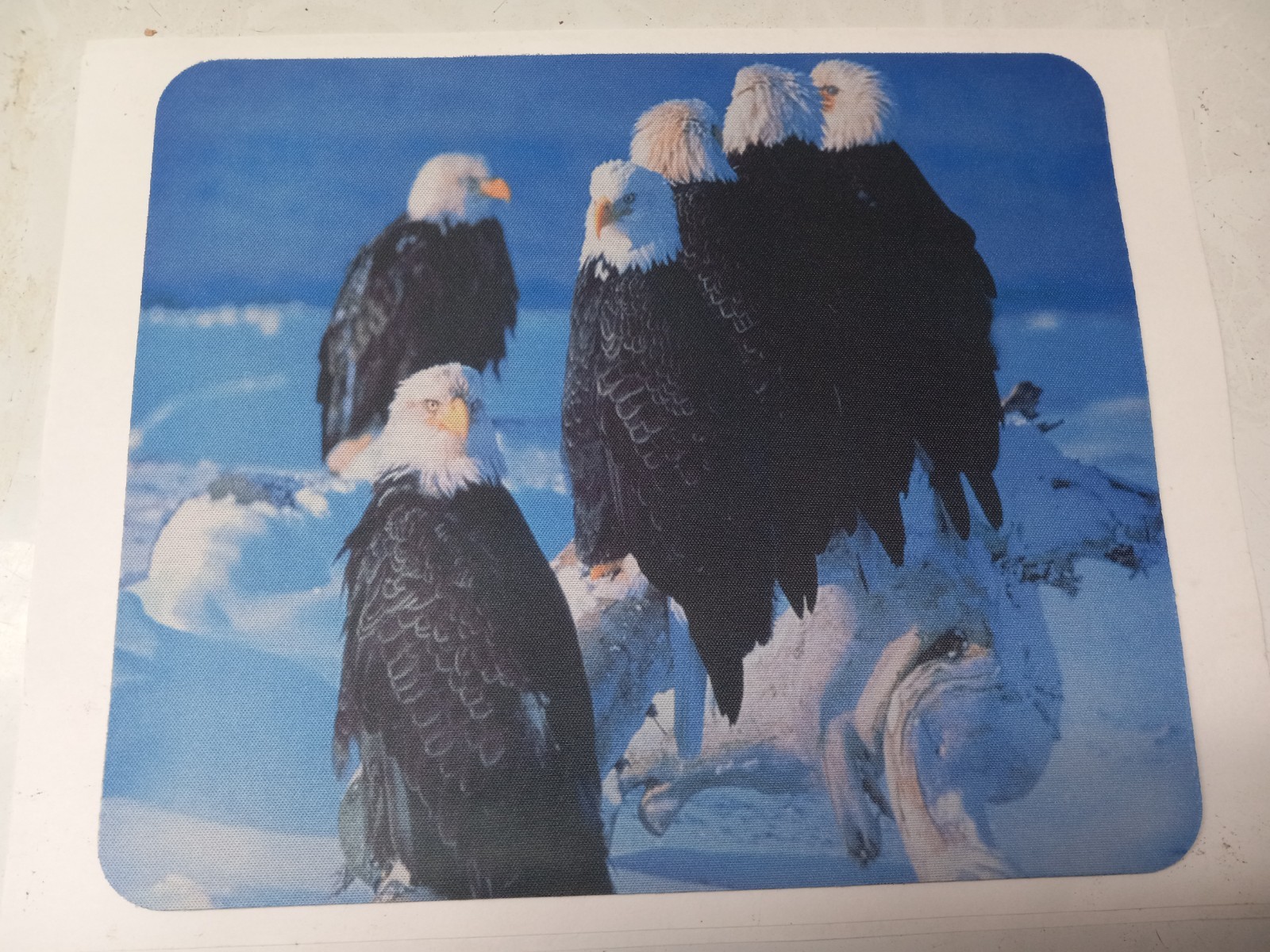 American Bald Eagle Freedom Pack Computer Mouse Pad