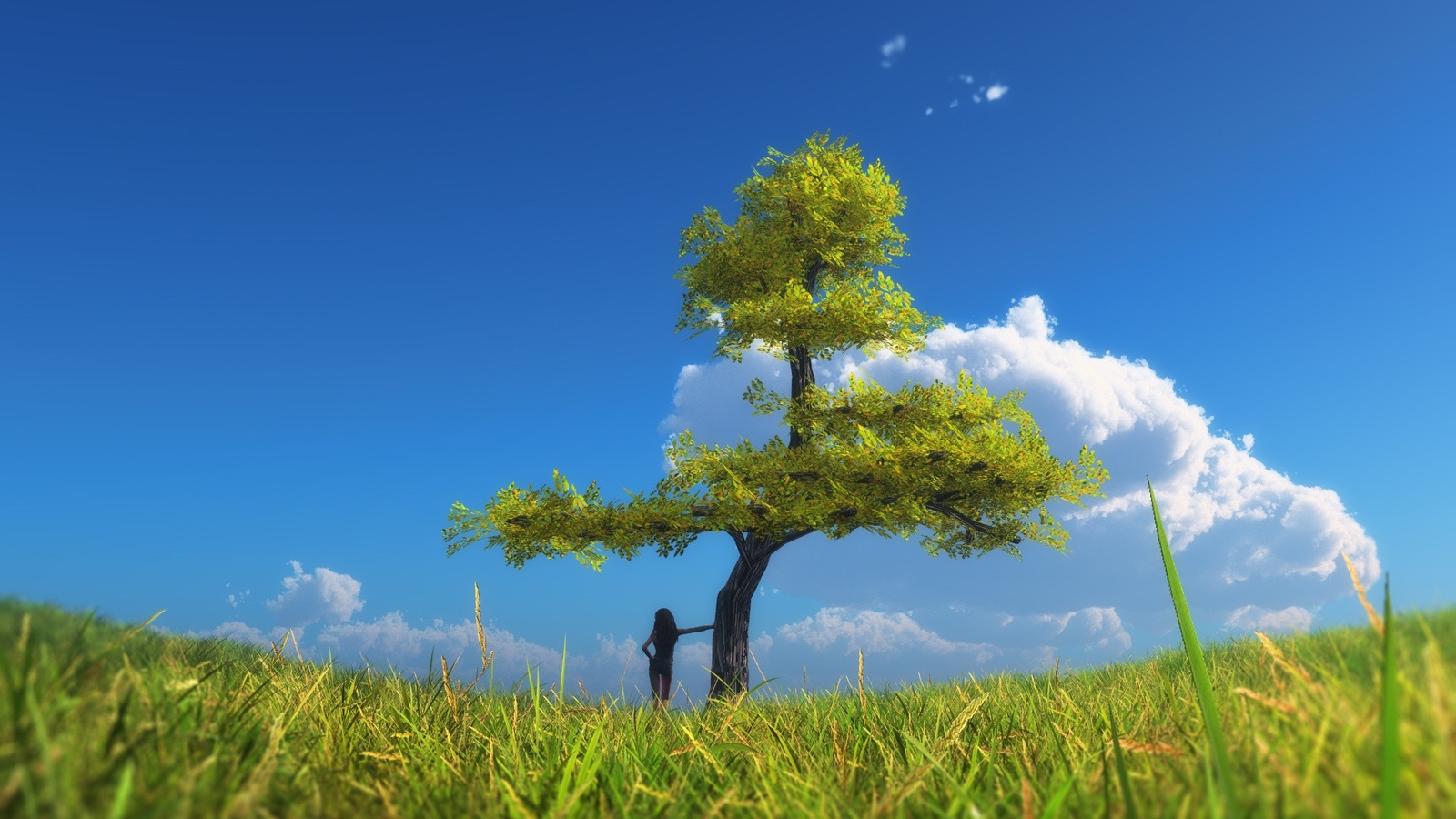 Landscape trees sky clouds nature women outdoors Custom Gaming Mat Desk