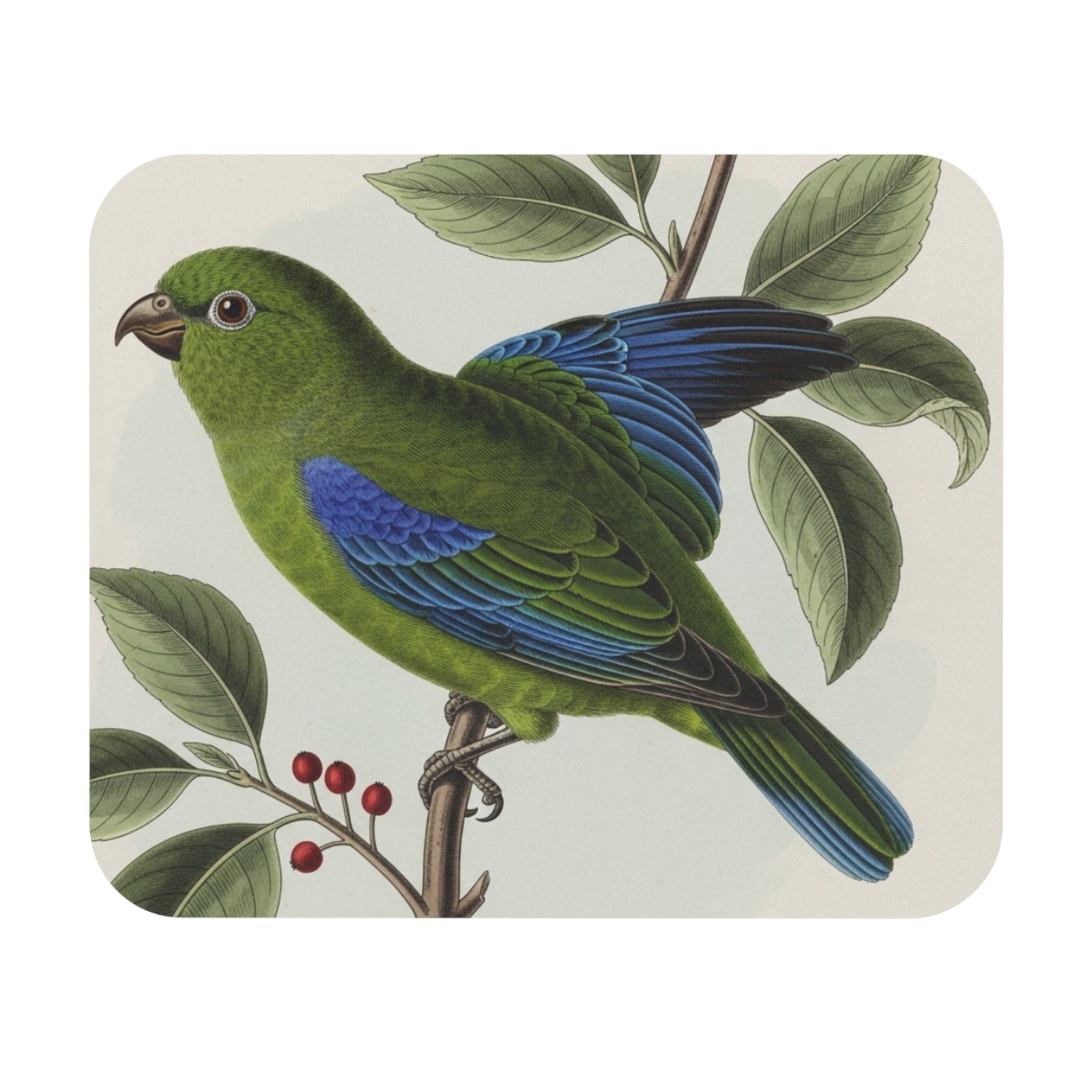 Monk Parakeet Mouse Pad bird watcher avian desk office nature USA ship