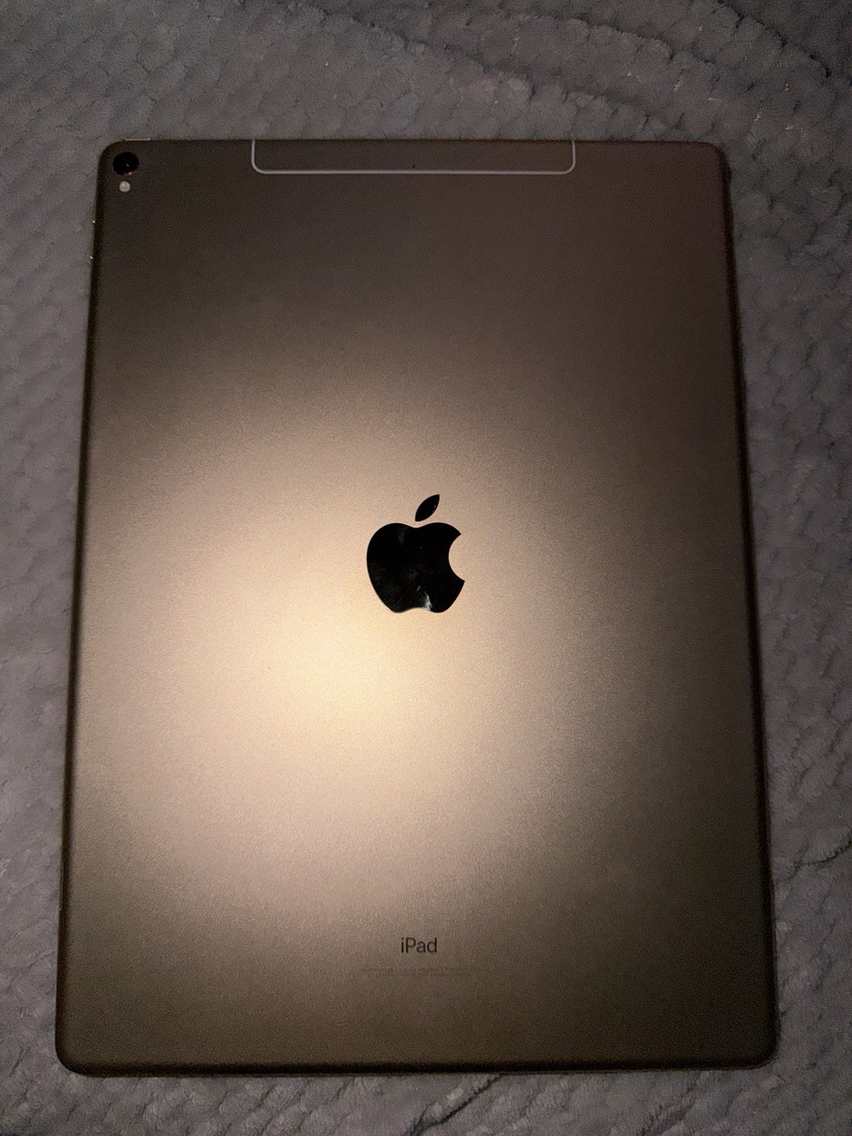 Amazing condition Gently used Apple iPad Pro - willing to negotiate
