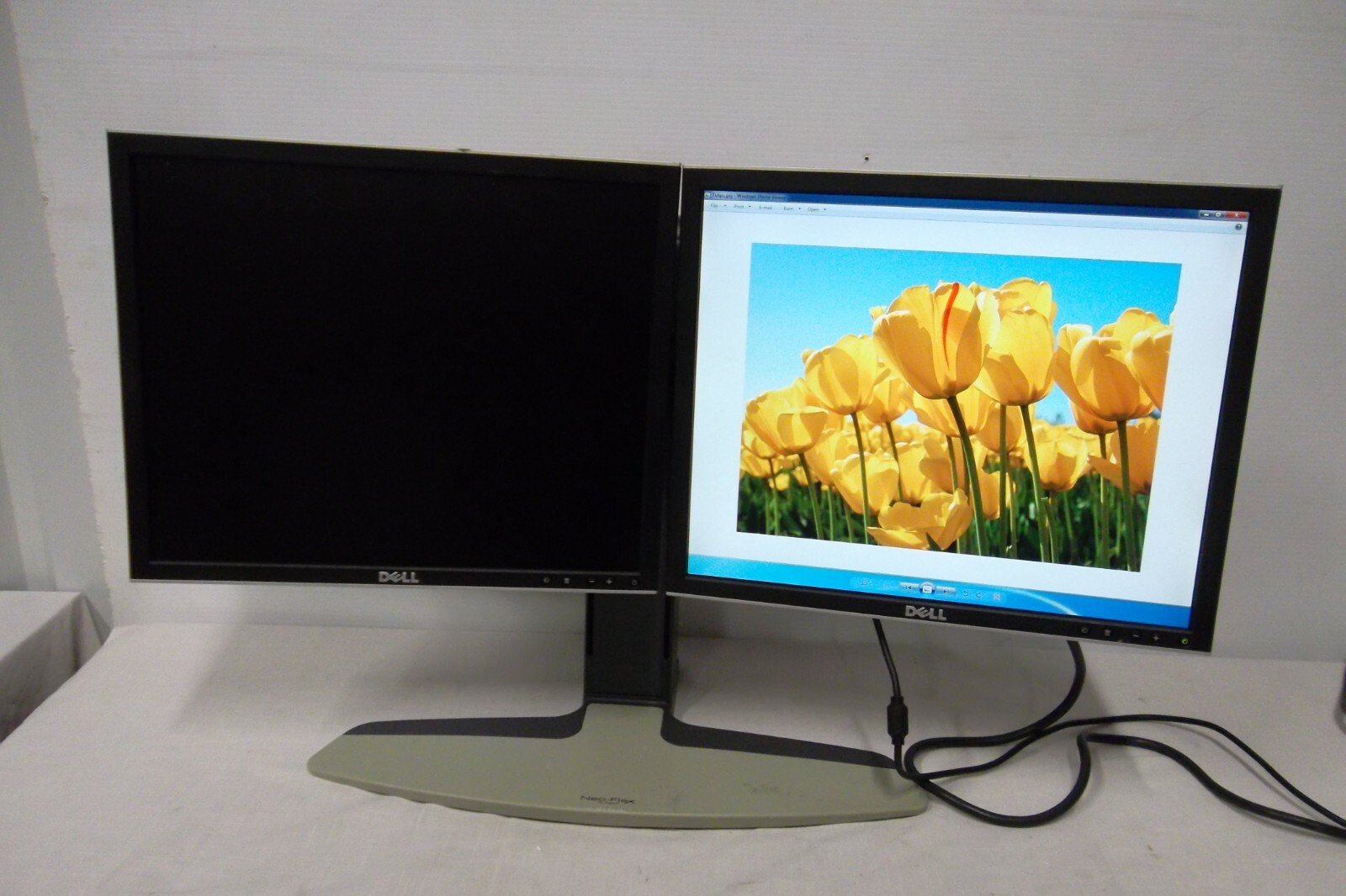 Dell 1908FP 19" Dual Monitor w/2-Port USB Hub Ergotron Neo-Flex Stand VGA DVI 