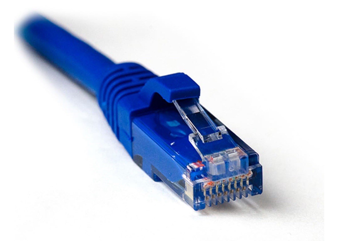 On-Q/Legrand On-Q 14-ft Cat 6 Blue Ethernet Cable Coil