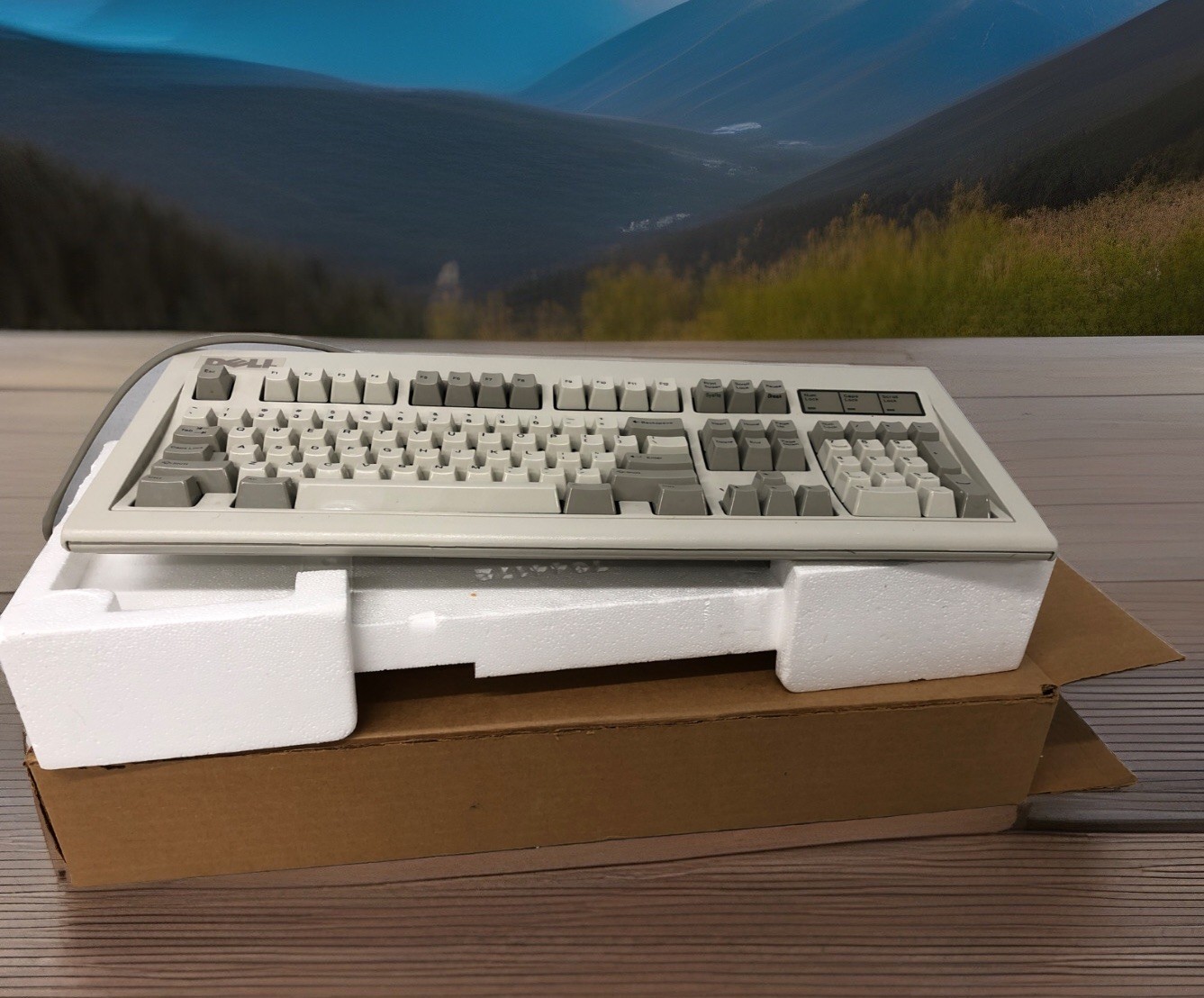RARE Vintage Retro Dell AT101 Keyboard Model M  PS/2 Connector - NEW