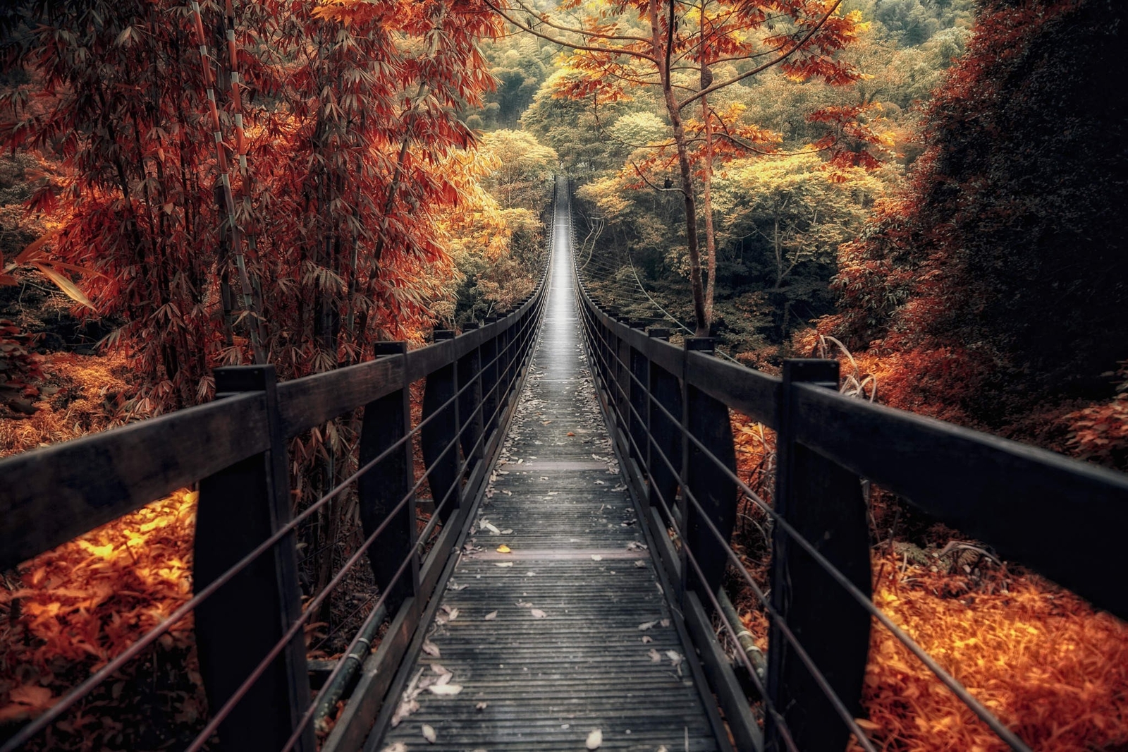 Landscape nature bridge wooden surface fall forest Custom Gaming Mat Desk