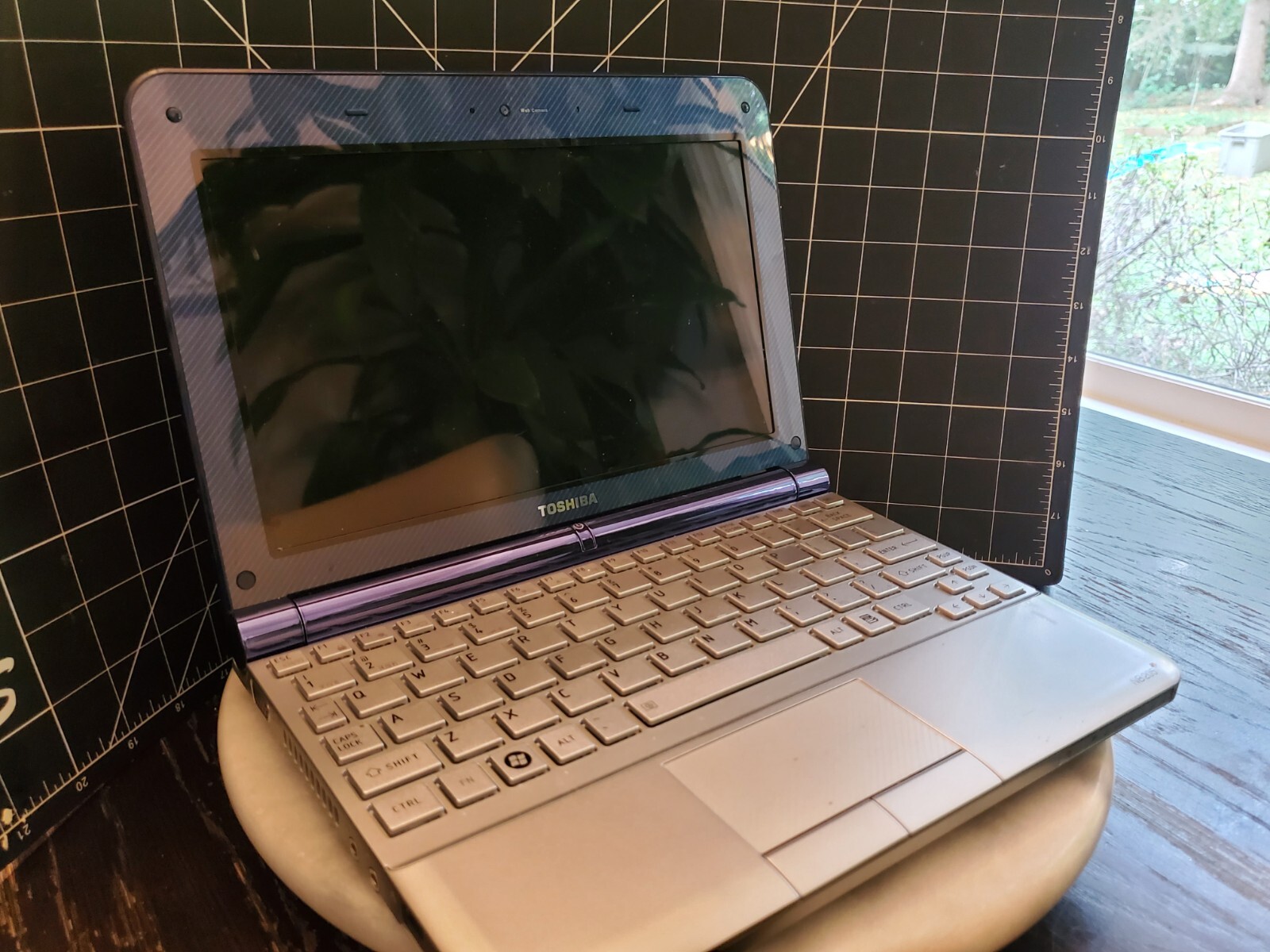 TOSHIBA NB205-N324BL Laptop Blue Intel Atom N280 @1.66GHz 10.1" WSVGA 250GB HD