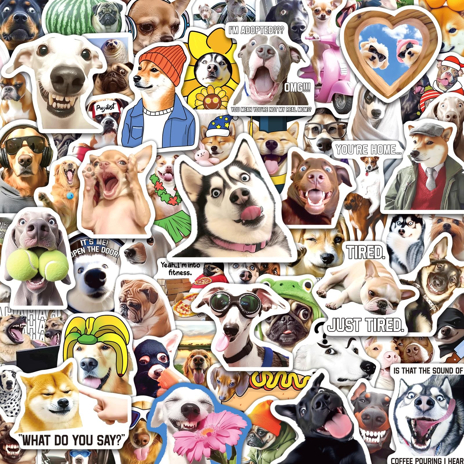 SigyoJeom 200PCS Funny Dog Meme Stickers for Adults Teens Colorful