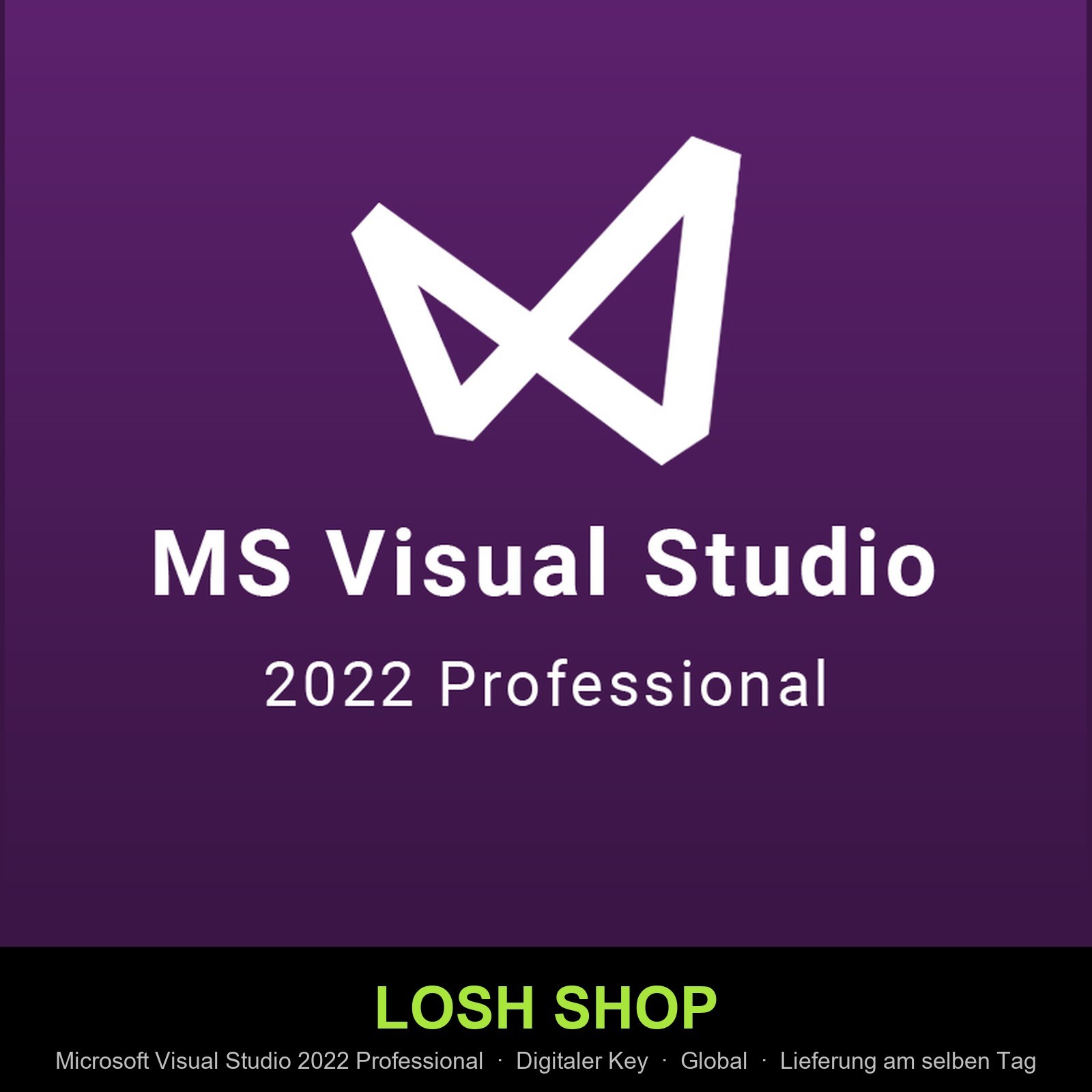 Microsoft Visual Studio 2022 Professional Key Global Instant Digital
