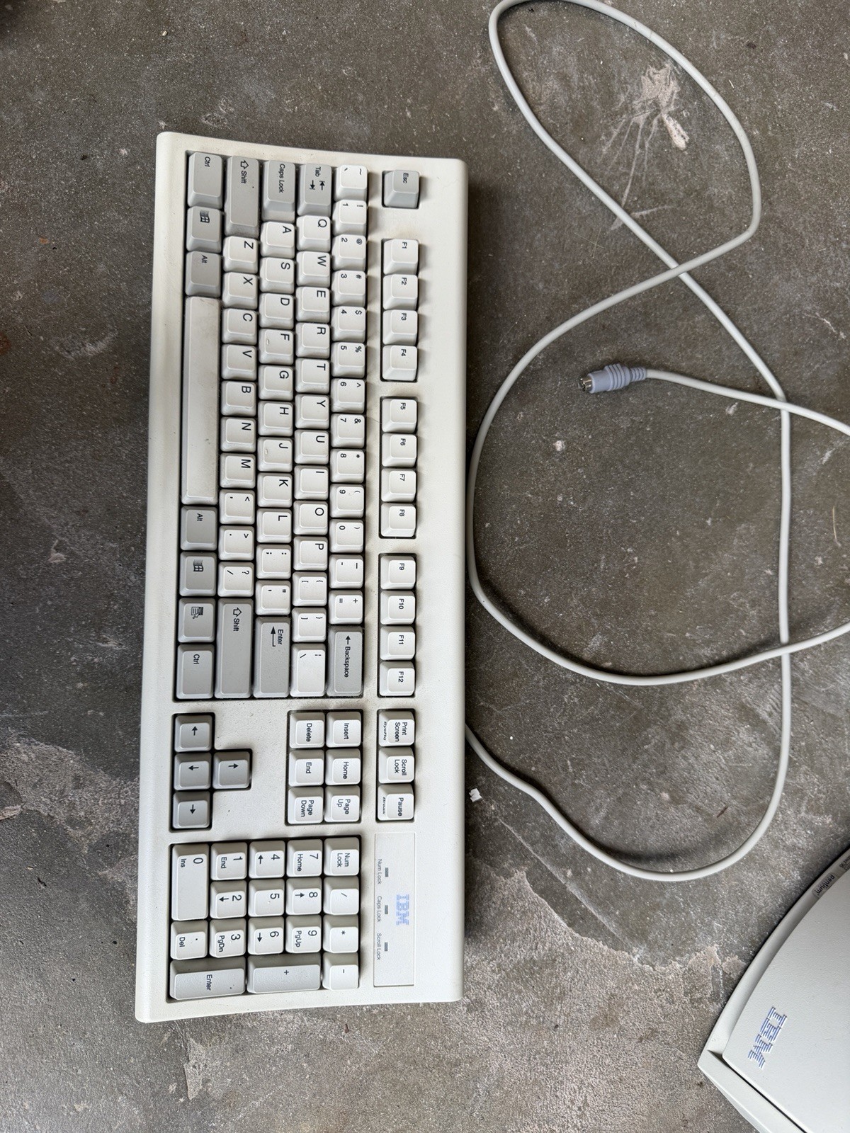 IBM Model KB-8923 Vintage keyboard PS/2 Ms0