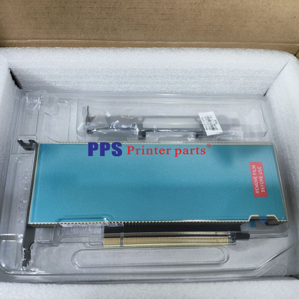 OEM NVIDIA L2 24GB GPU Tensor PCIe Gen4 x16 Accelerate Video AI Graphics Card