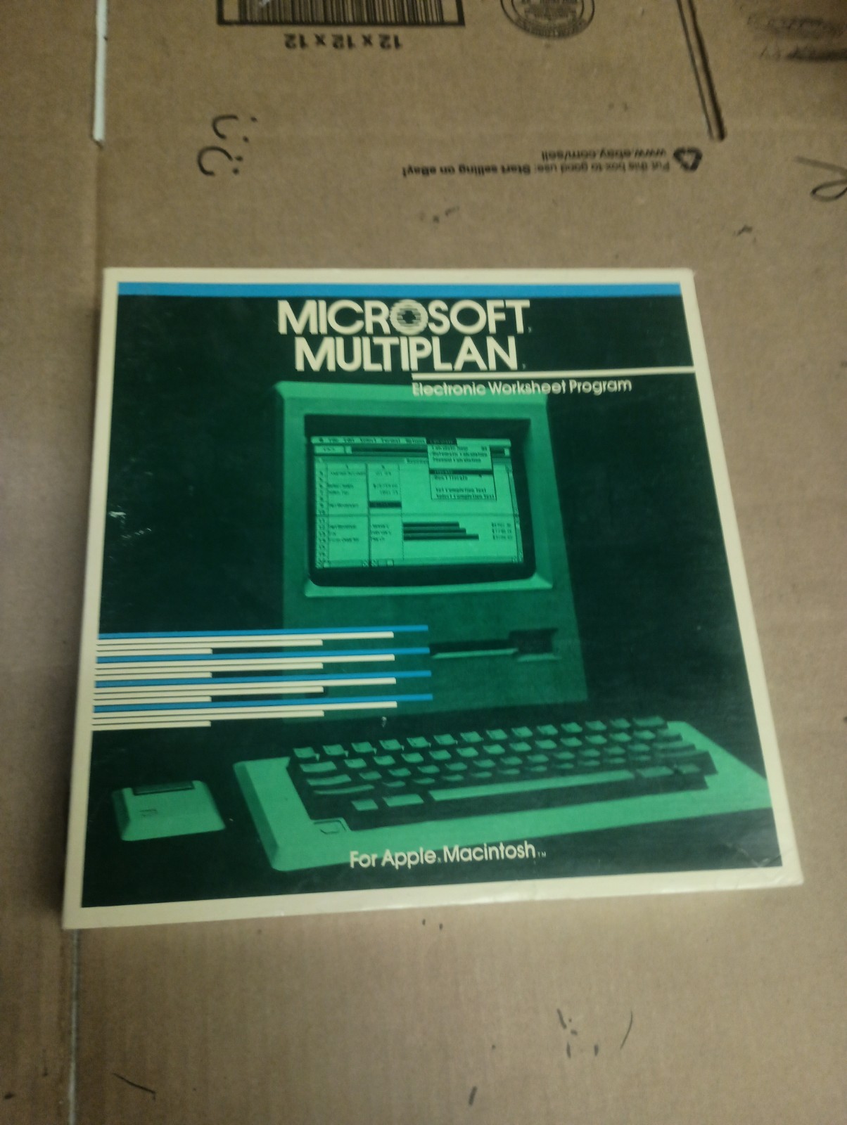 Microsoft MULTIPLAN Electronic Spreadsheet Program Apple Macintosh