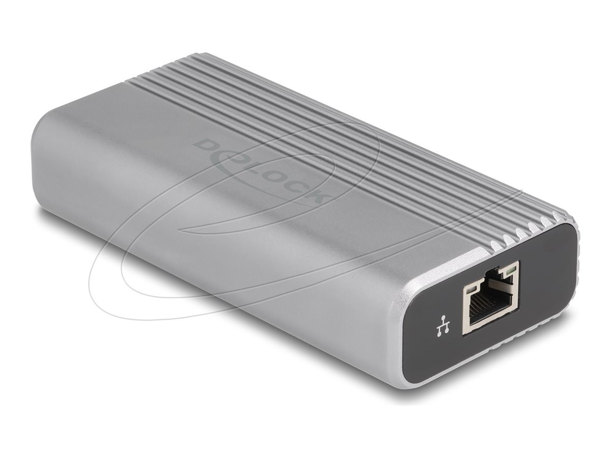 Delock Network adapter USB4 / Thunderbolt 4 1/2.5/5/10GBase-T 64349