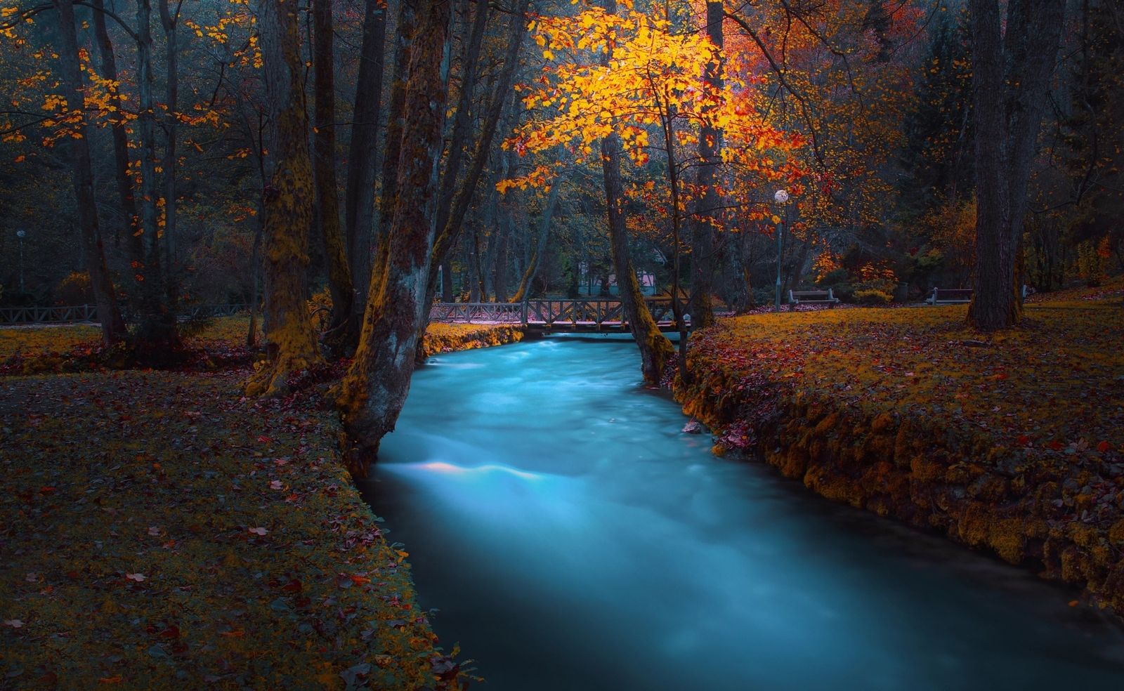 Landscape park dark fall trees long exposure river Custom Gaming Mat Desk