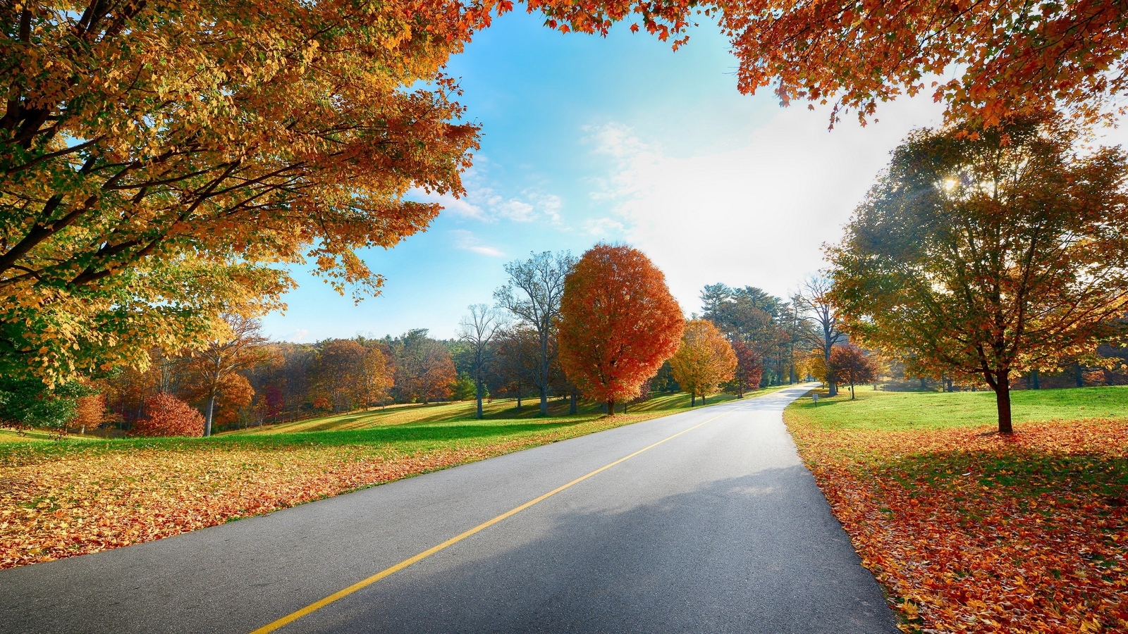 Landscape road fallen leaves red asphalt plants Custom Gaming Mat Desk