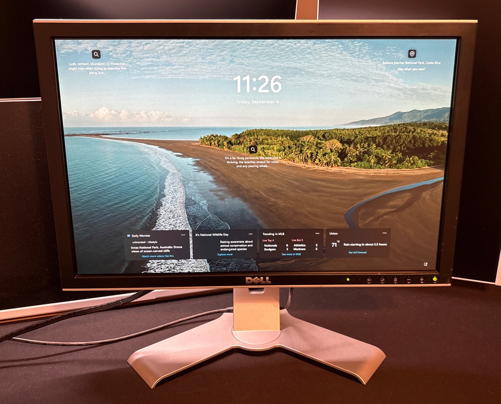 Dell 2007WFP 20" UltraSharp LCD Monitor w/4-Port USB Hub VGA DVI S-Video