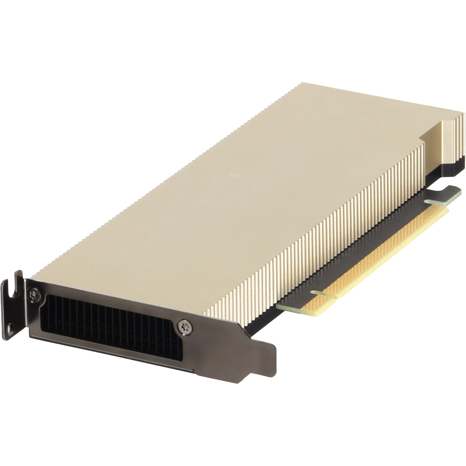 V9XT2 Dell NVIDIA L4 Tensor Core 24GB GDDR6 72W PCIe x16 HHHL GPU