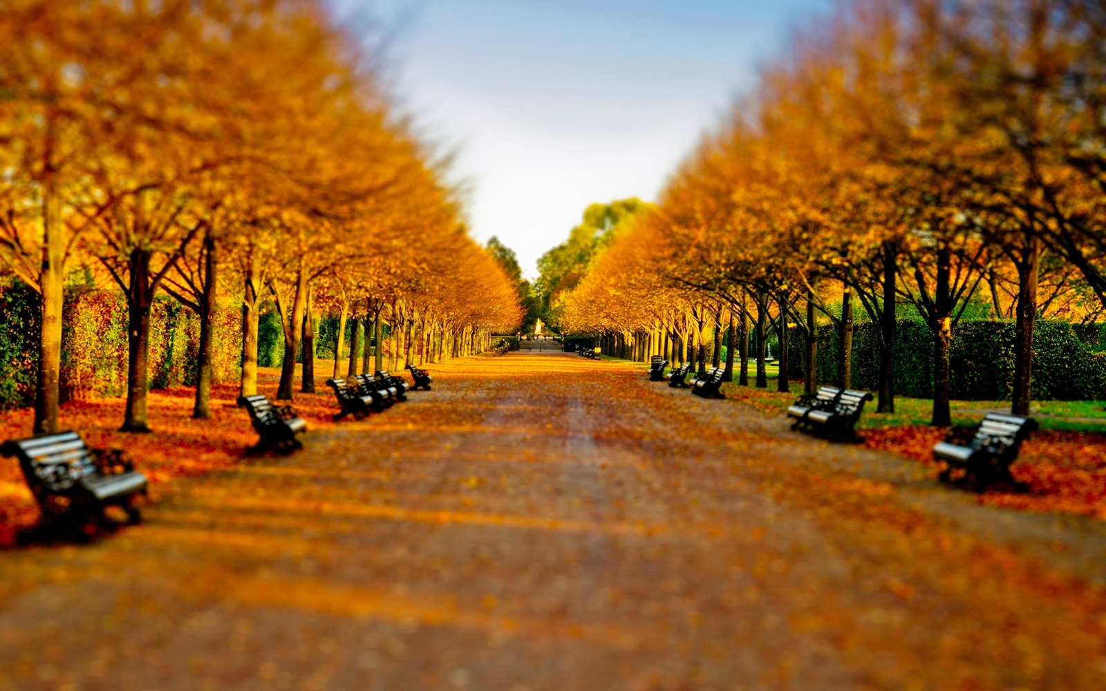 Landscape trees leaves tilt shift park fall fallen bench Custom Gaming Mat Desk