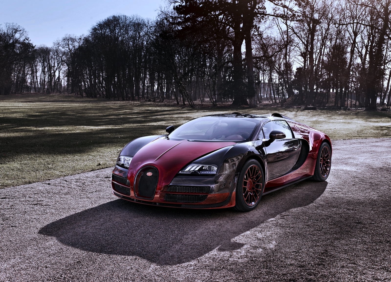 Cars 2015 bugatti veyron forest trees gardens super Desk Mat Stitched