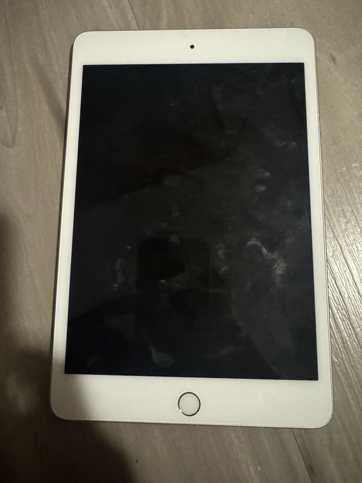 WiFi Only Apple iPad Mini 5th Gen 64GB Silver