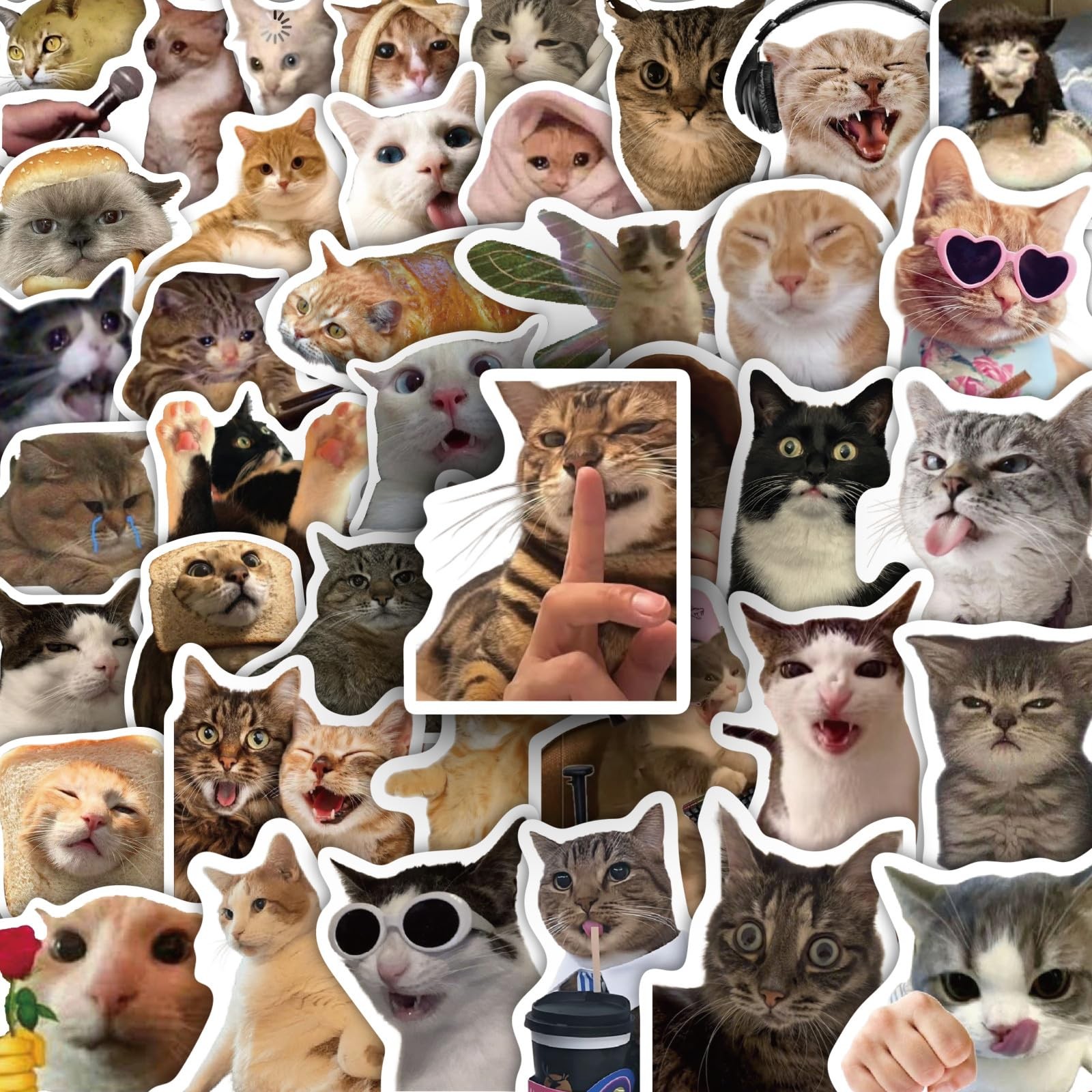 100 Pcs Cat Stickers, Funny Cat Meme, Cute Vinyl Kitty Sticker Pack