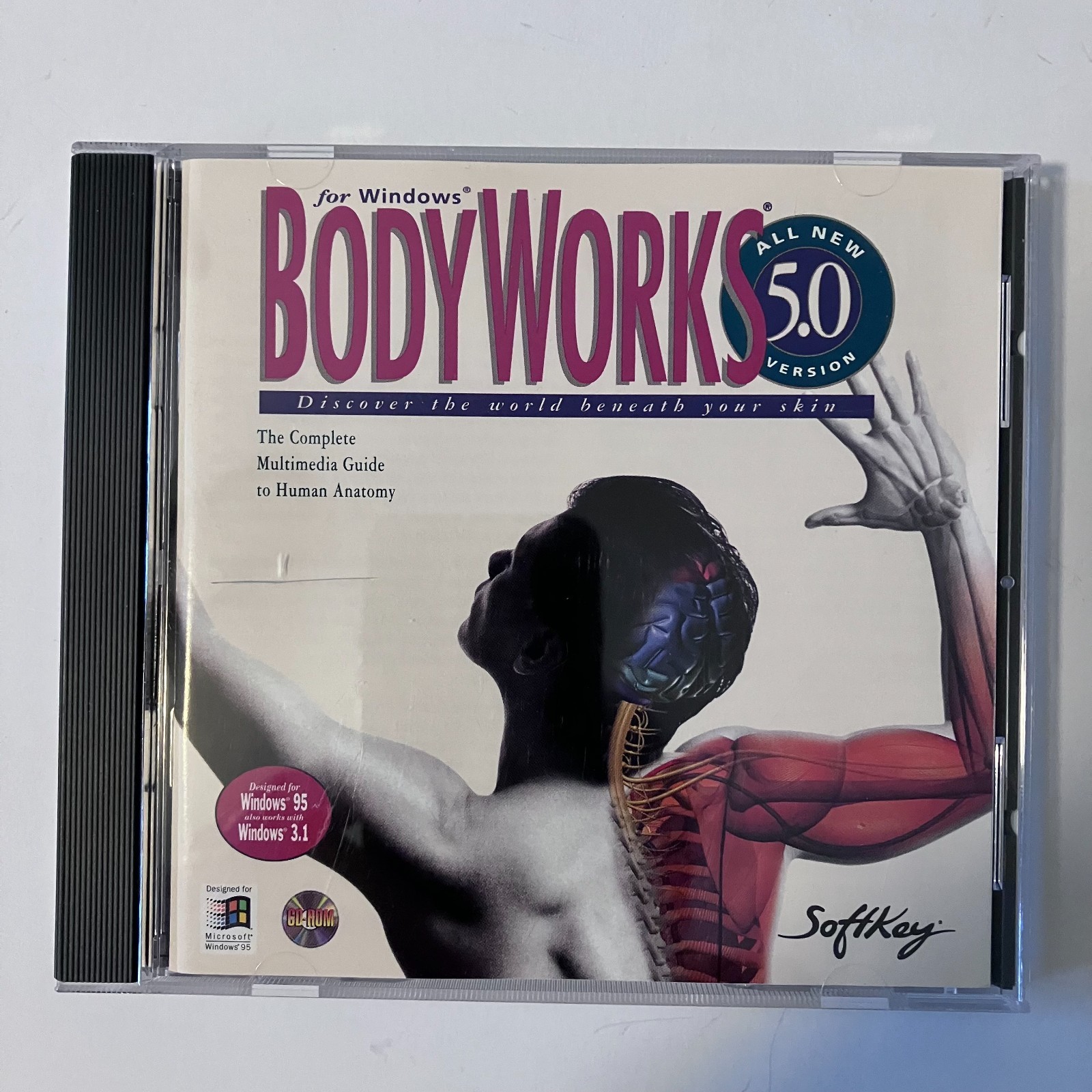Body Works 5.0 PC BodyWorks Windows Science Educational Resources Anatomy