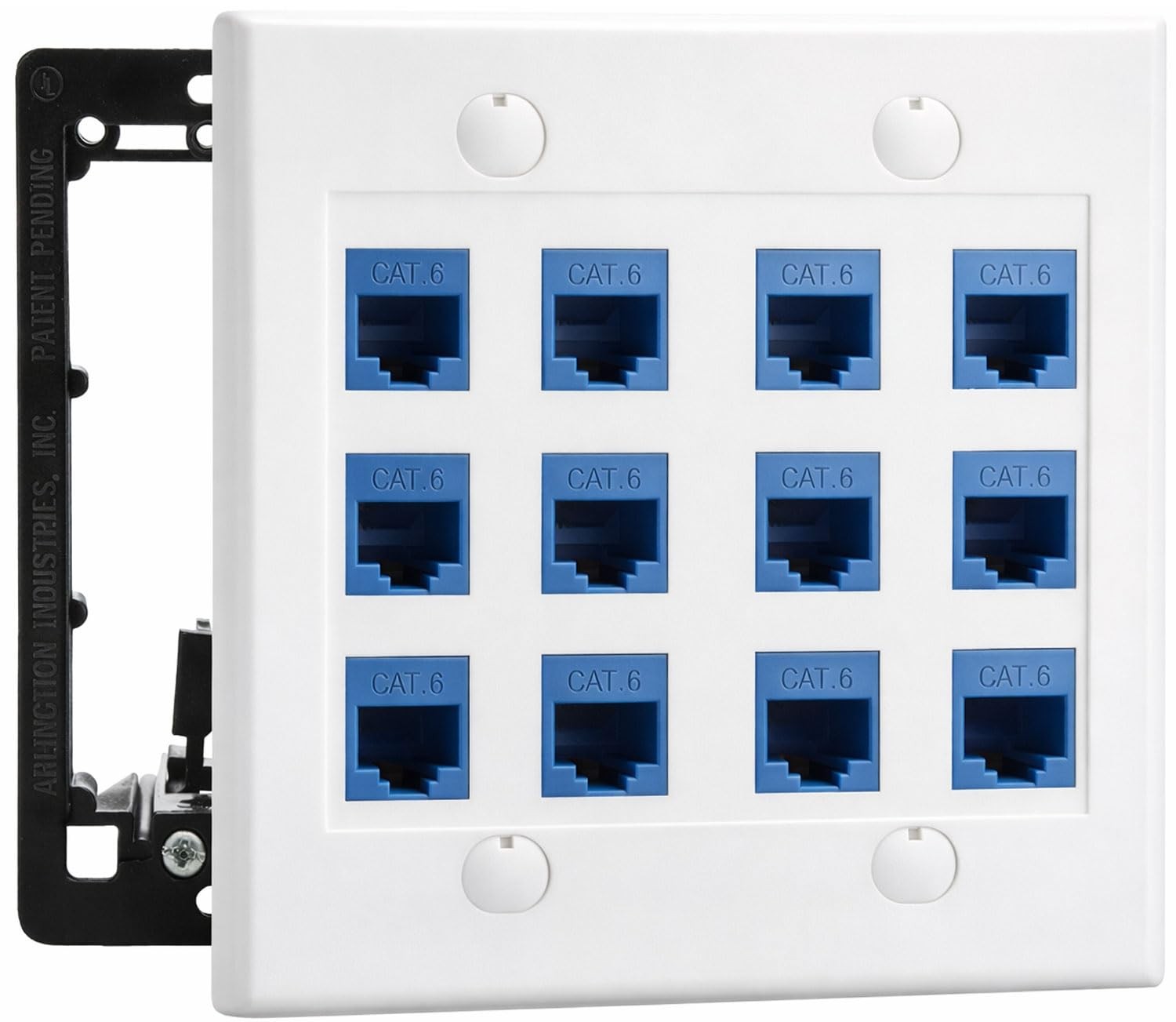 DIYTECH 12 Port Ethernet Wall Plate, Cat 6, Outlet, RJ45 Female Various 