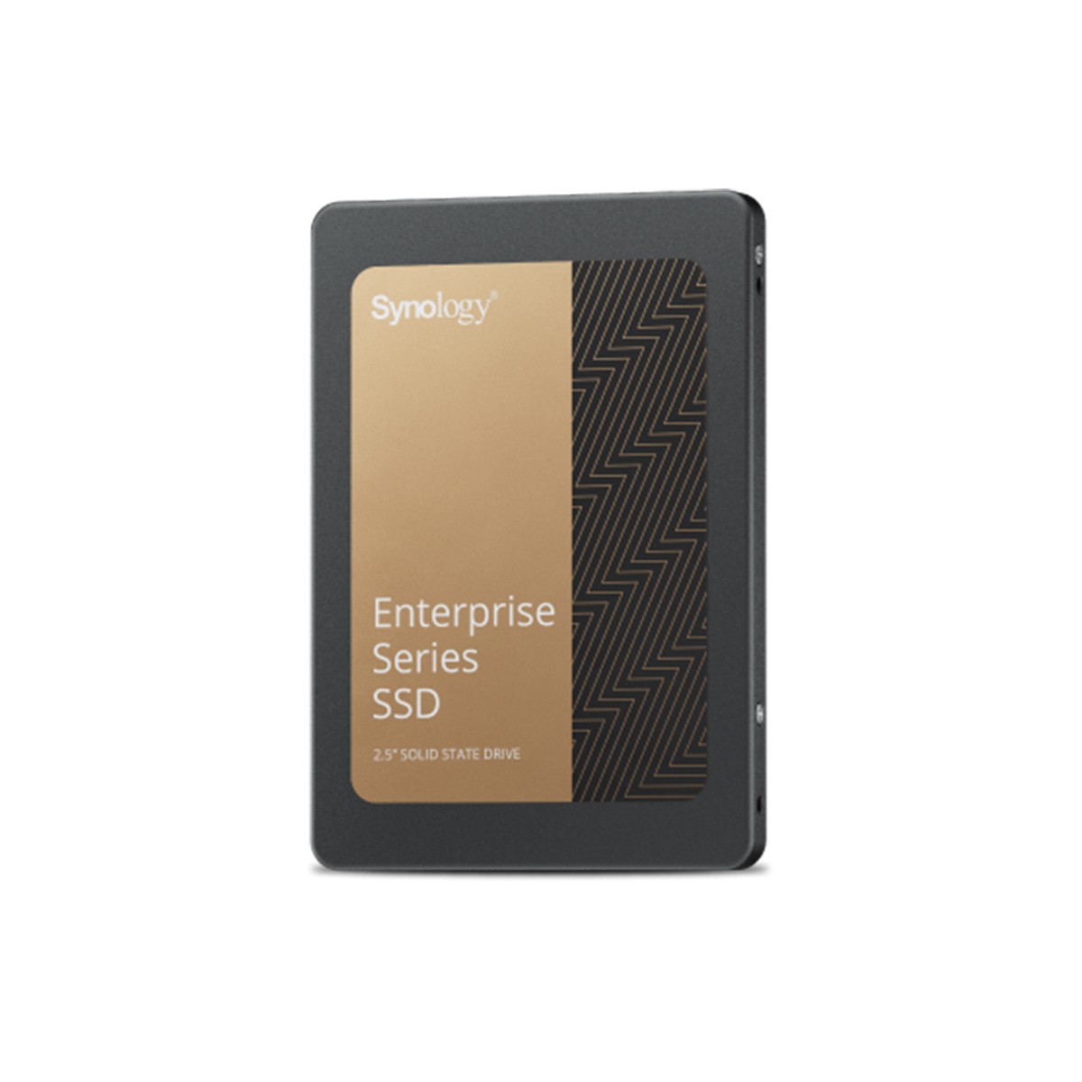 Synology Enterprise Series SAT5221 3.84TB 2.5" SATA III Internal SSD