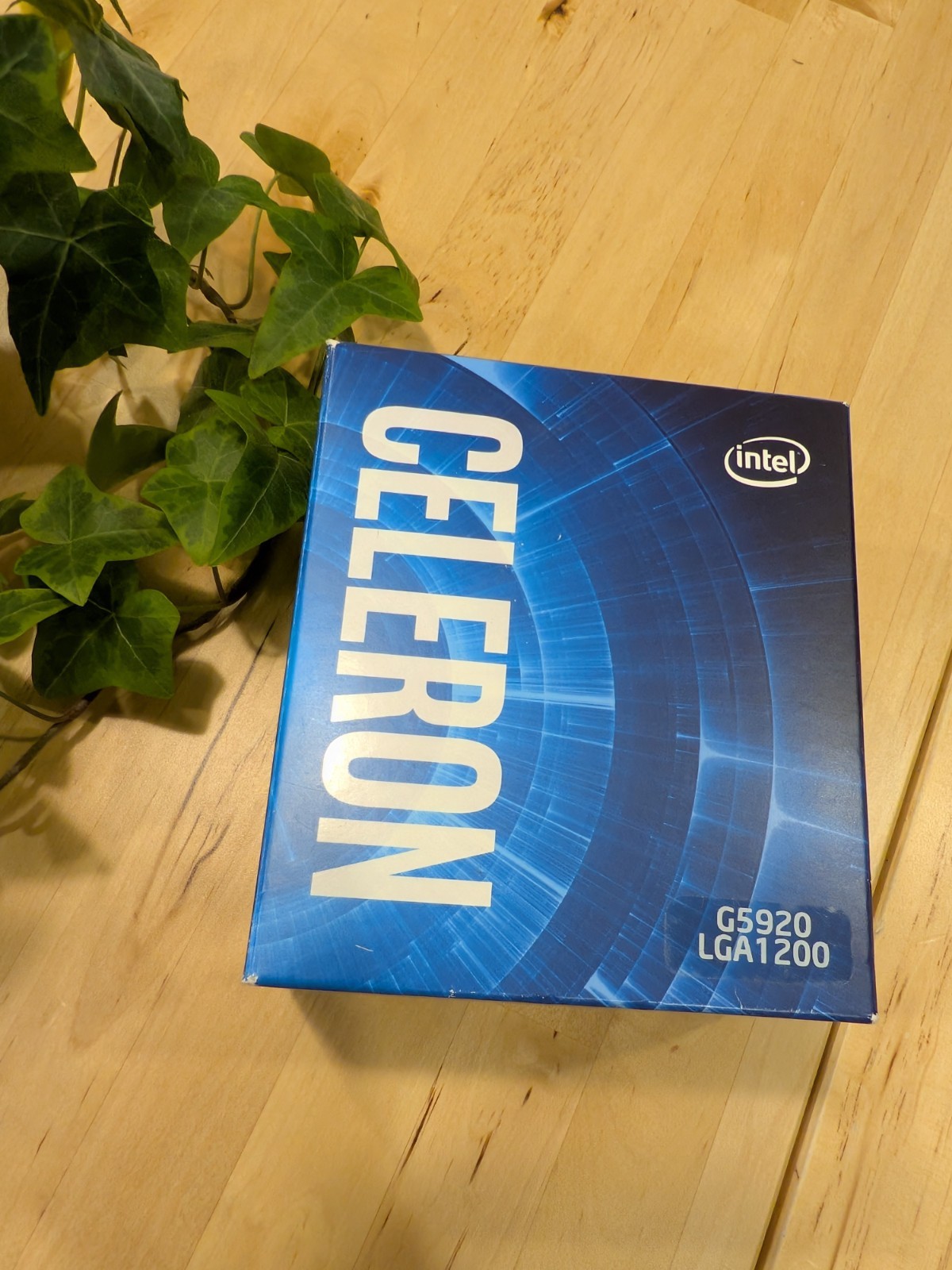 Intel Celeron G5920 Desktop Processor (3.5 GHz, 2 Cores, Socket FCLGA1200) Boxed