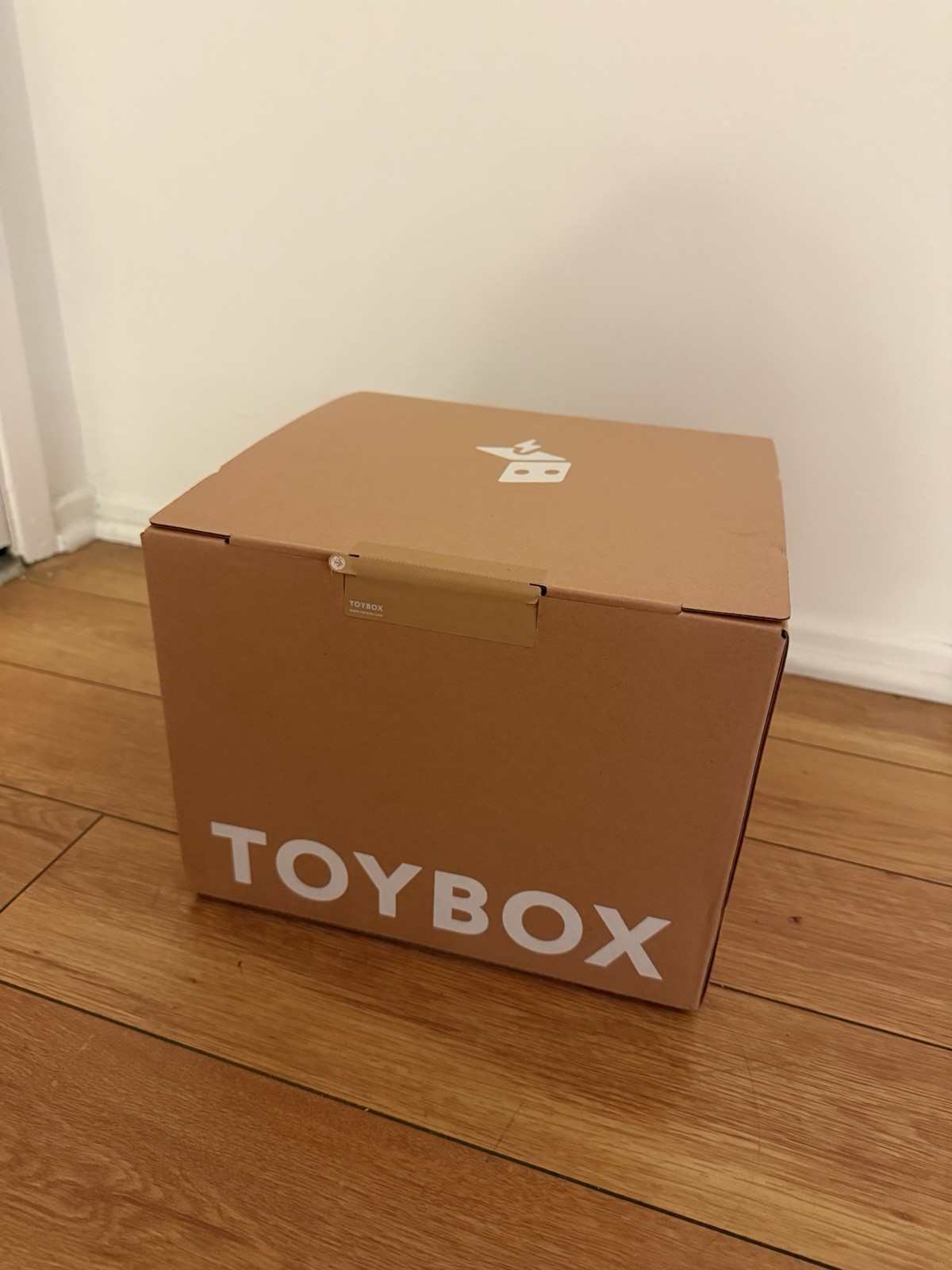 TOYBOX Alpha Three 3D Printer Starter Bundle, (Alpha 3 Version)