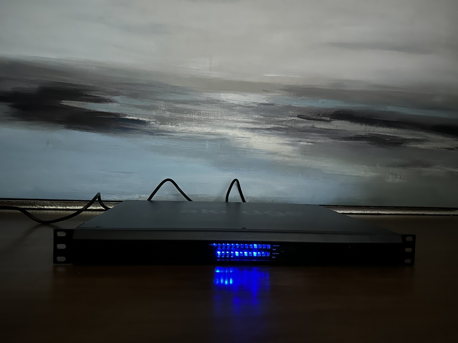 Pakedge S24P8av 24 Port Network Switch Works Great