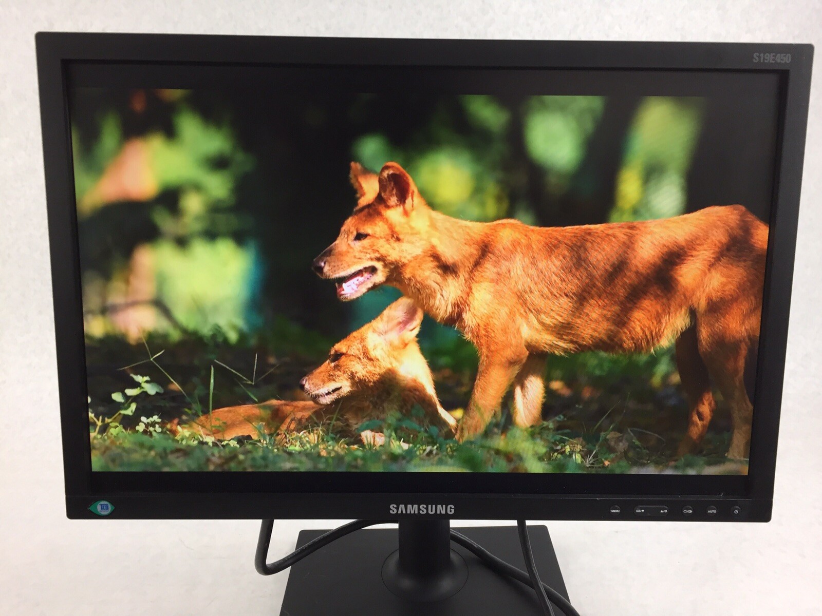Samsung 19" SE450 Series LED Monitor S19E450BW 1440 x 900 pixels C Grade