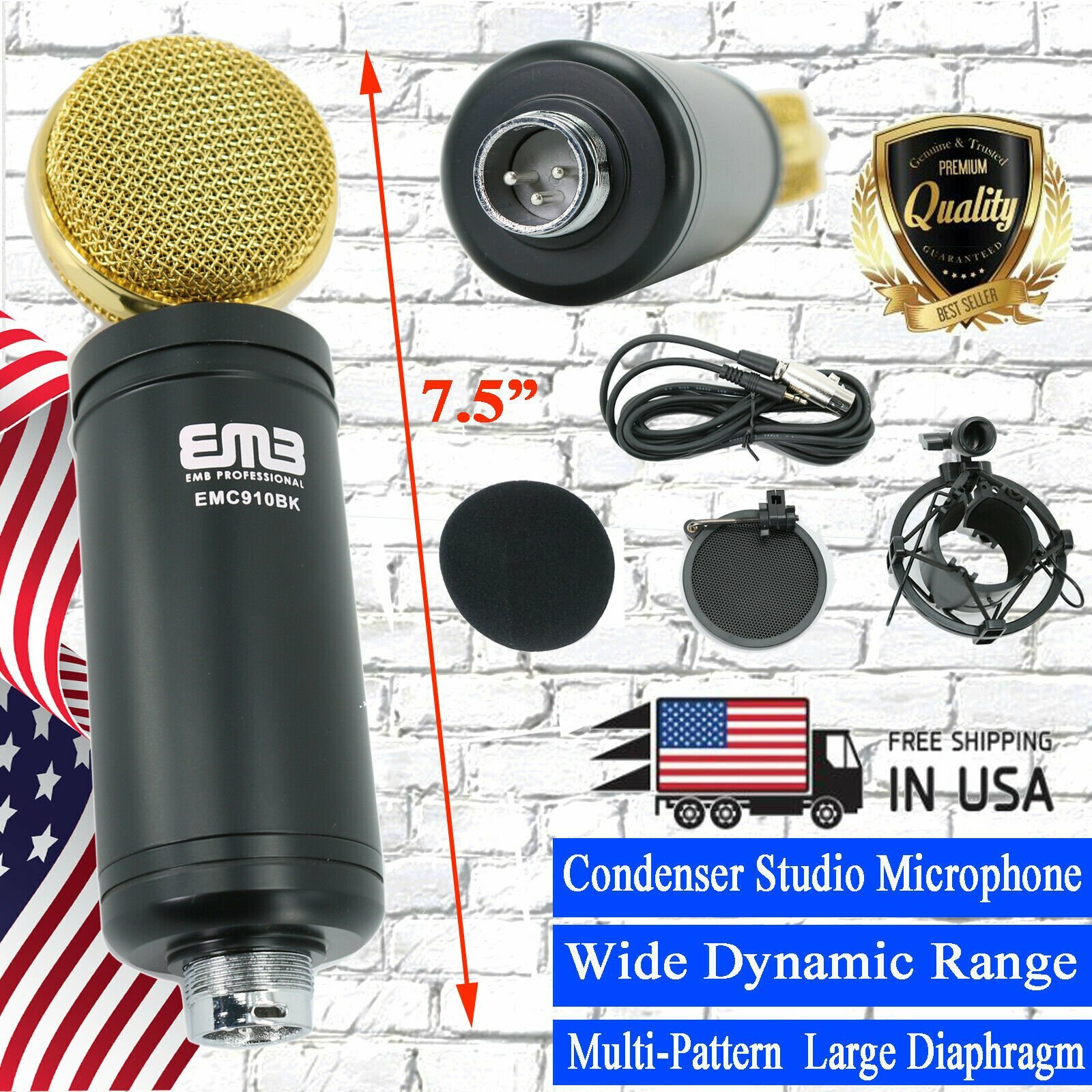 EMC910 Multi-Pattern Large Diaphragm Condenser Project Studio Microphone - Black