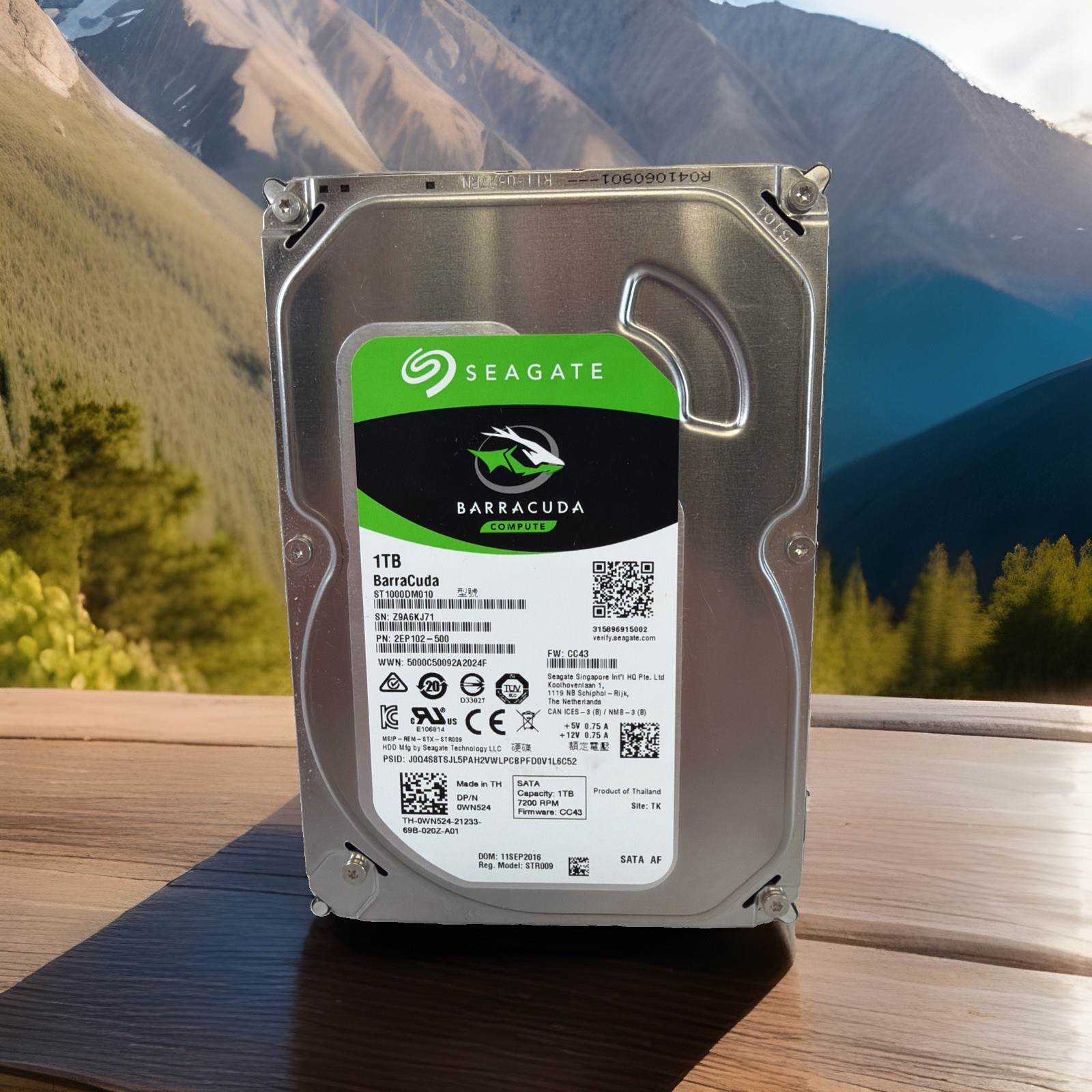 Seagate 3.5" Barracuda 1TB Hard Drive HDD ST1000DM010 - Crystal disk