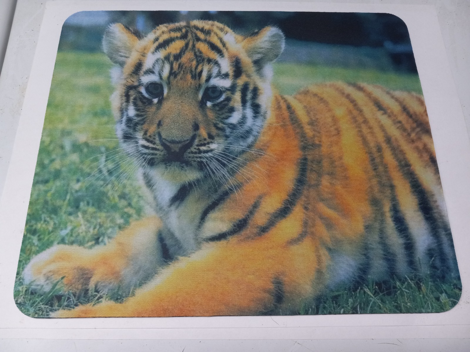 Cute Baby Tiger Cub Computer Mouse Pad