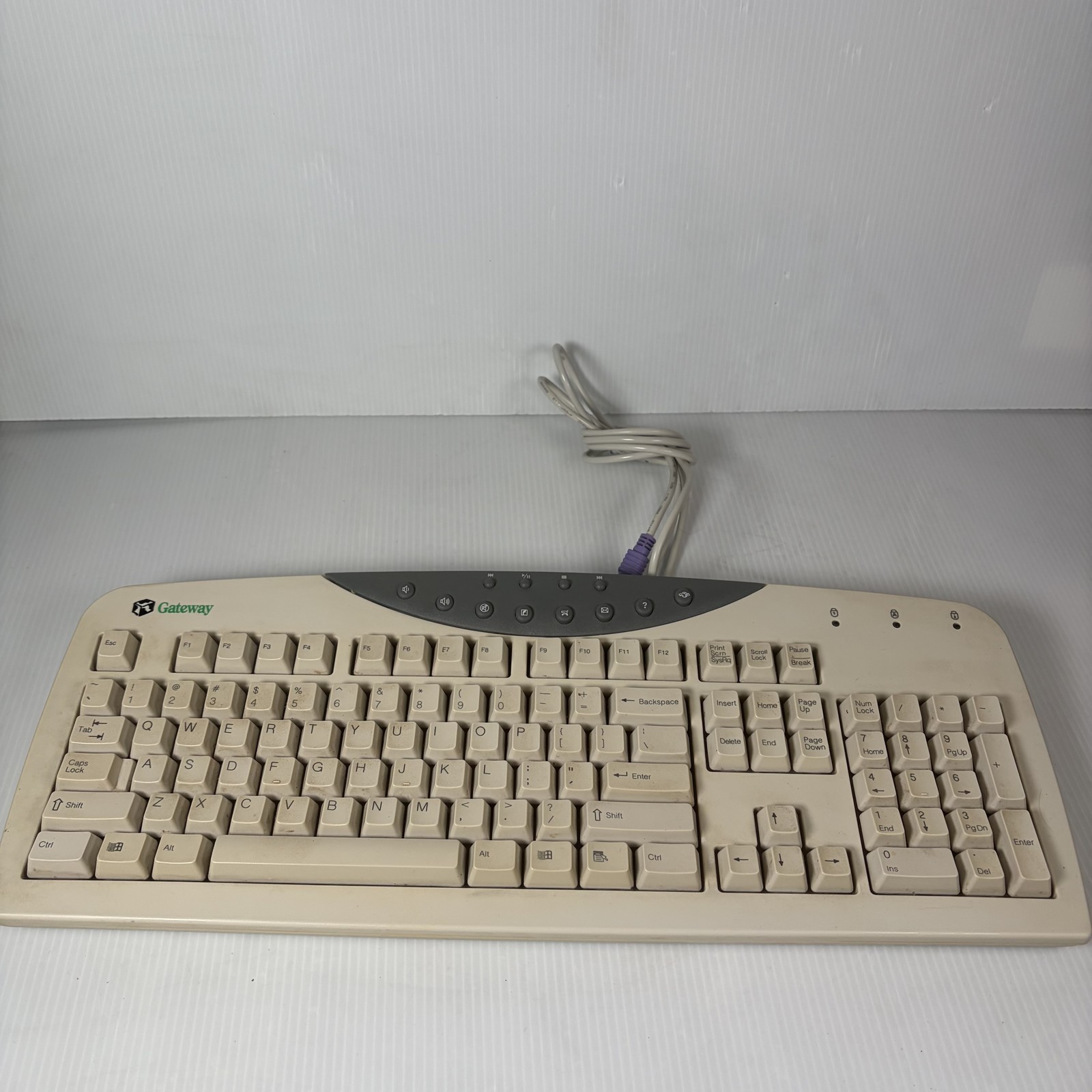 Gateway SK-9920 Wired PS/2 Multimedia Keyboard Beige Vintage 7003197