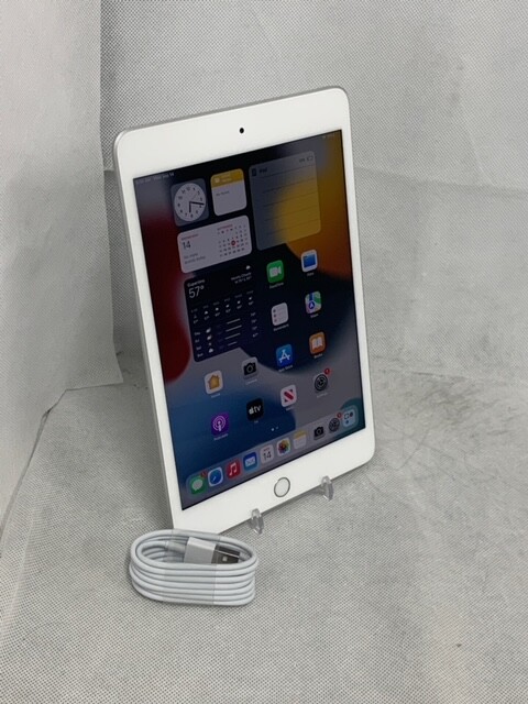 Apple iPad Mini (5th Generation) Wi-Fi, 7.9in 64/256  Gray/Silver/Gold *Grade B*