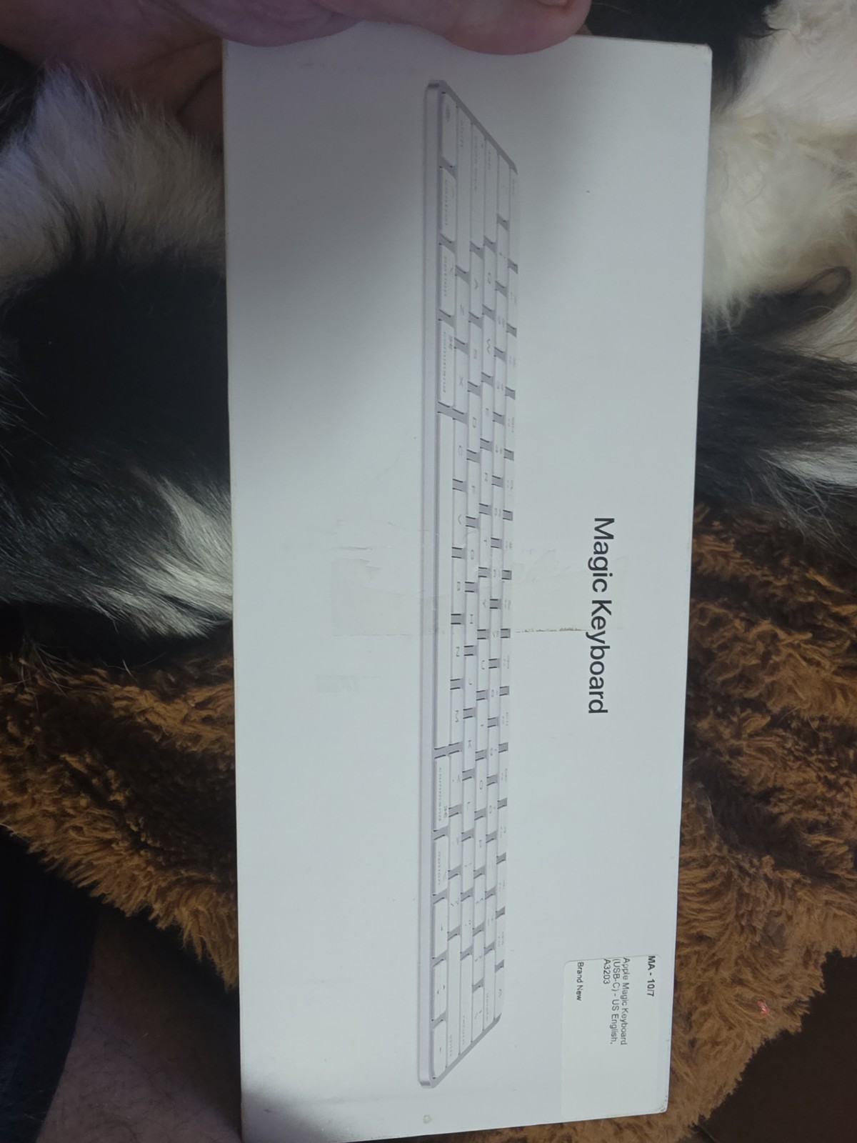 NEW Apple Magic Keyboard MXCL3LL/A Bluetooth Wireless USB-C Charging