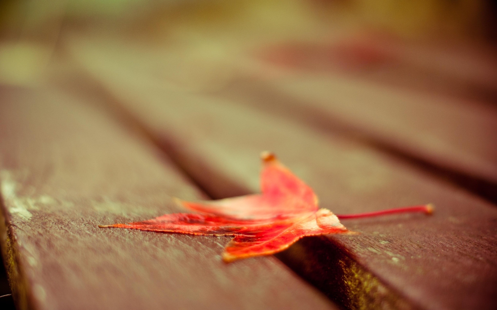 Landscape leaves red fall fallen plants Custom Gaming Mat Desk