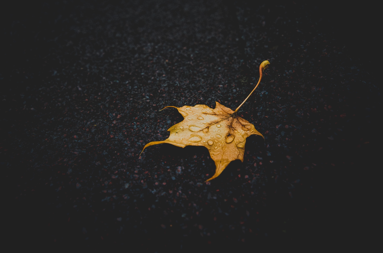 Landscape leaves water drops nature yellow closeup fall Custom Gaming Mat Desk