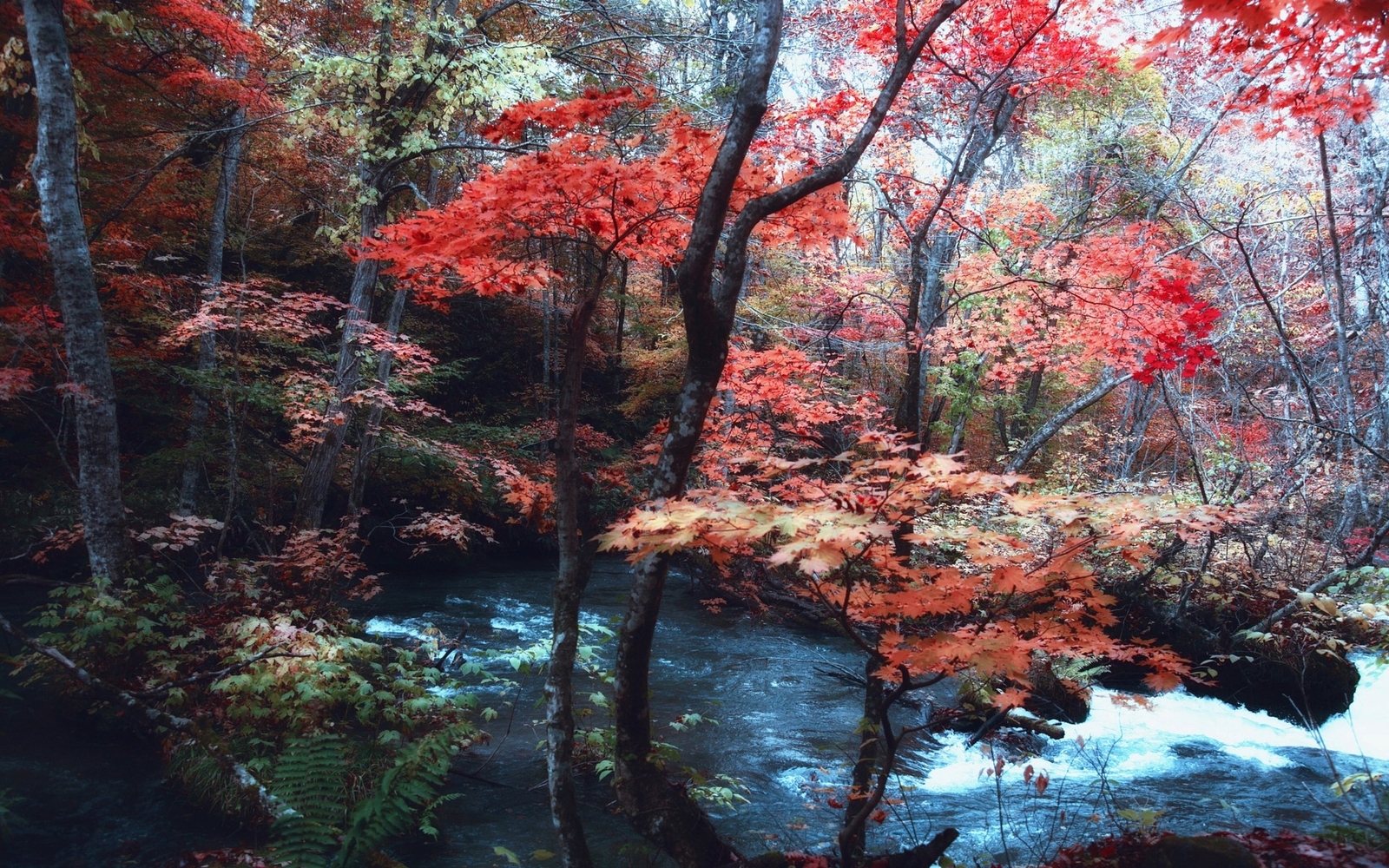 Landscape nature maple leaves trees river japan forest Custom Gaming Mat Desk
