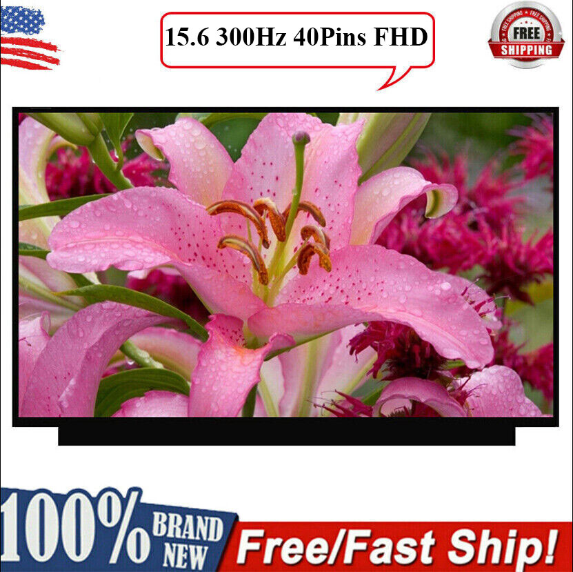 NEW TL156VDXP01-01 15.6" IPS 300Hz FHD LED LCD Screen Display TL156VDXP0101 A++