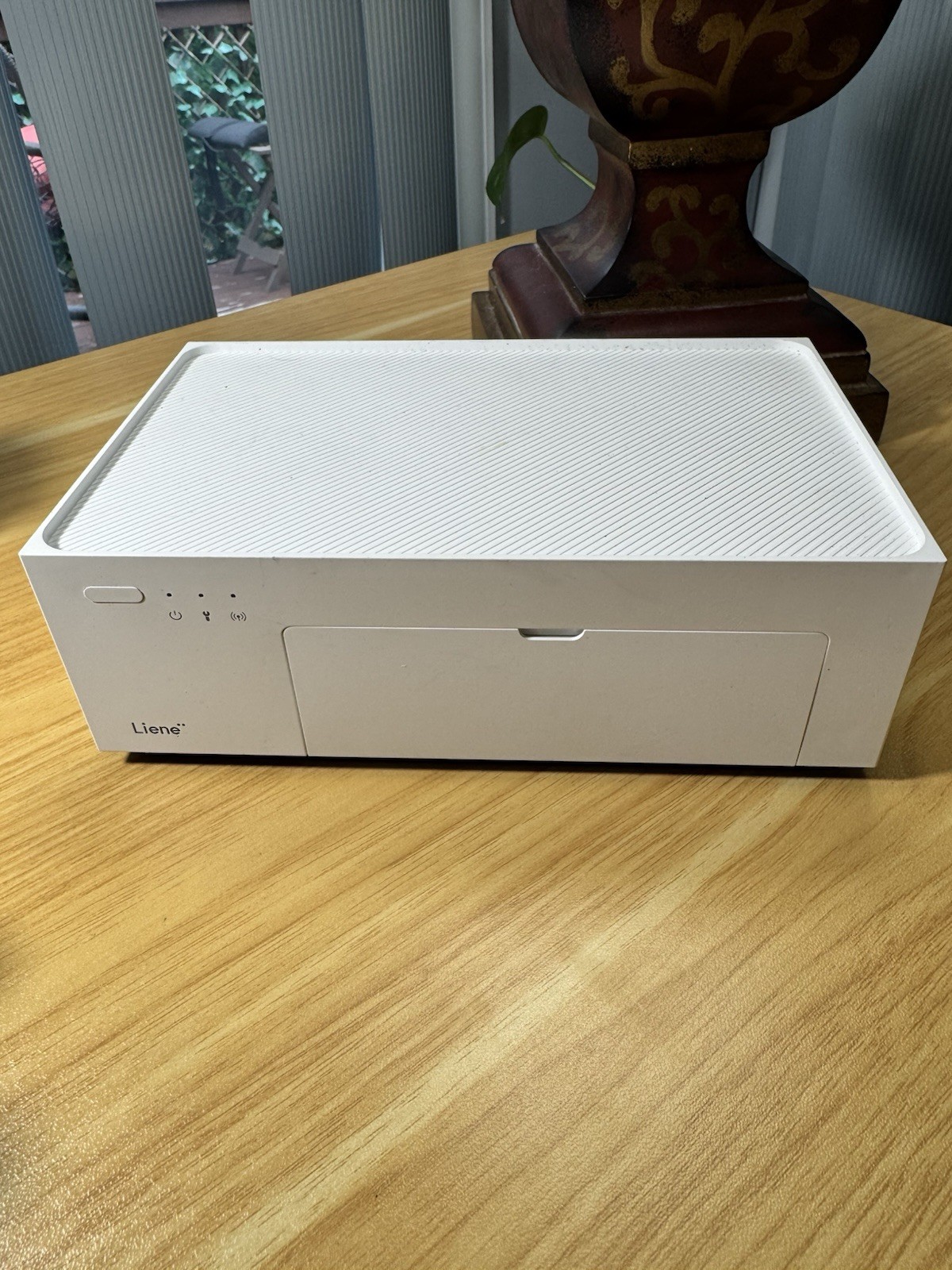 Liene Amber M100 Instant Photo Printer 4x6