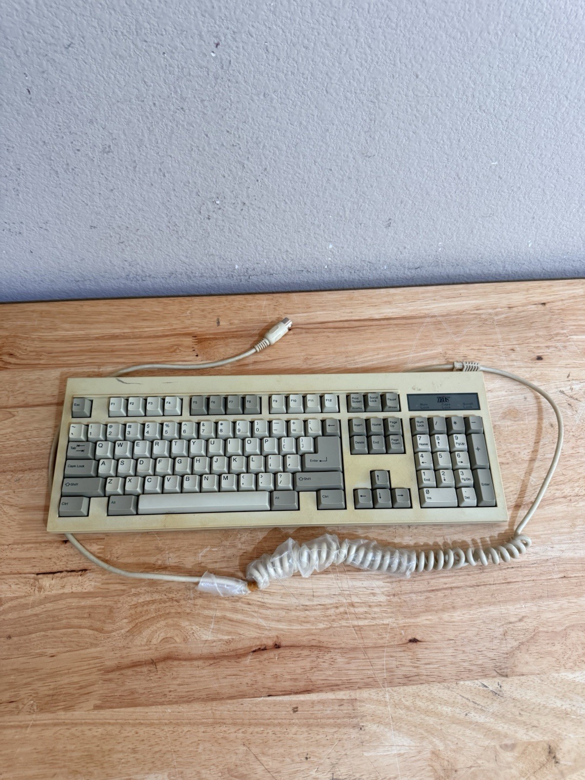 Vintage Zeos KB-6251EA Mechanical Keyboard Tested Clicky Enhanced 101 Key 5 Pin