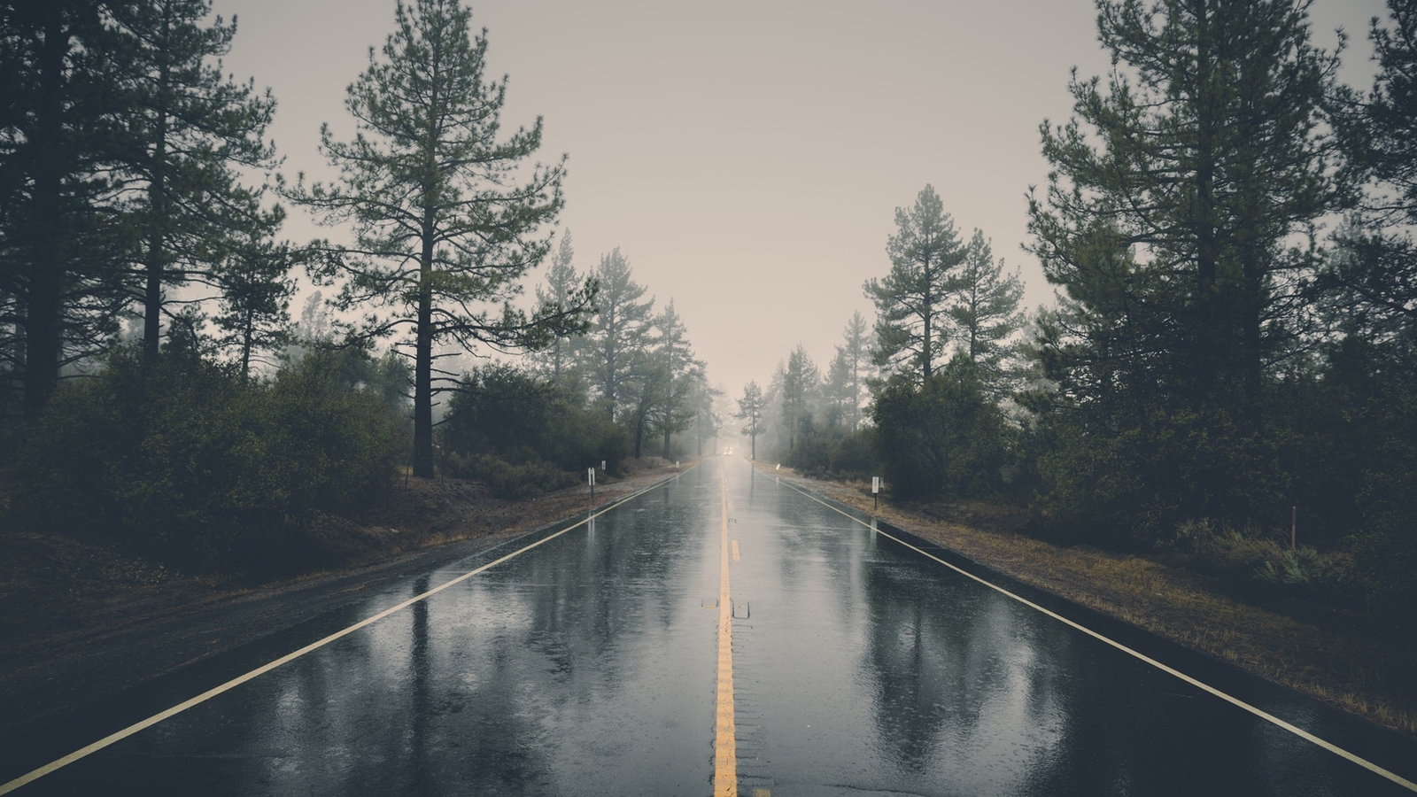 Landscape nature trees forest road mist rain Custom Gaming Mat Desk