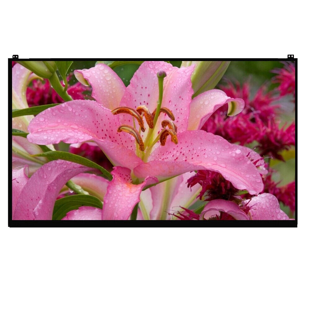 New Genuine LG Gram 15Z95N 15.6" LCD Screen Display edp 30Pin FHD 1920x1080